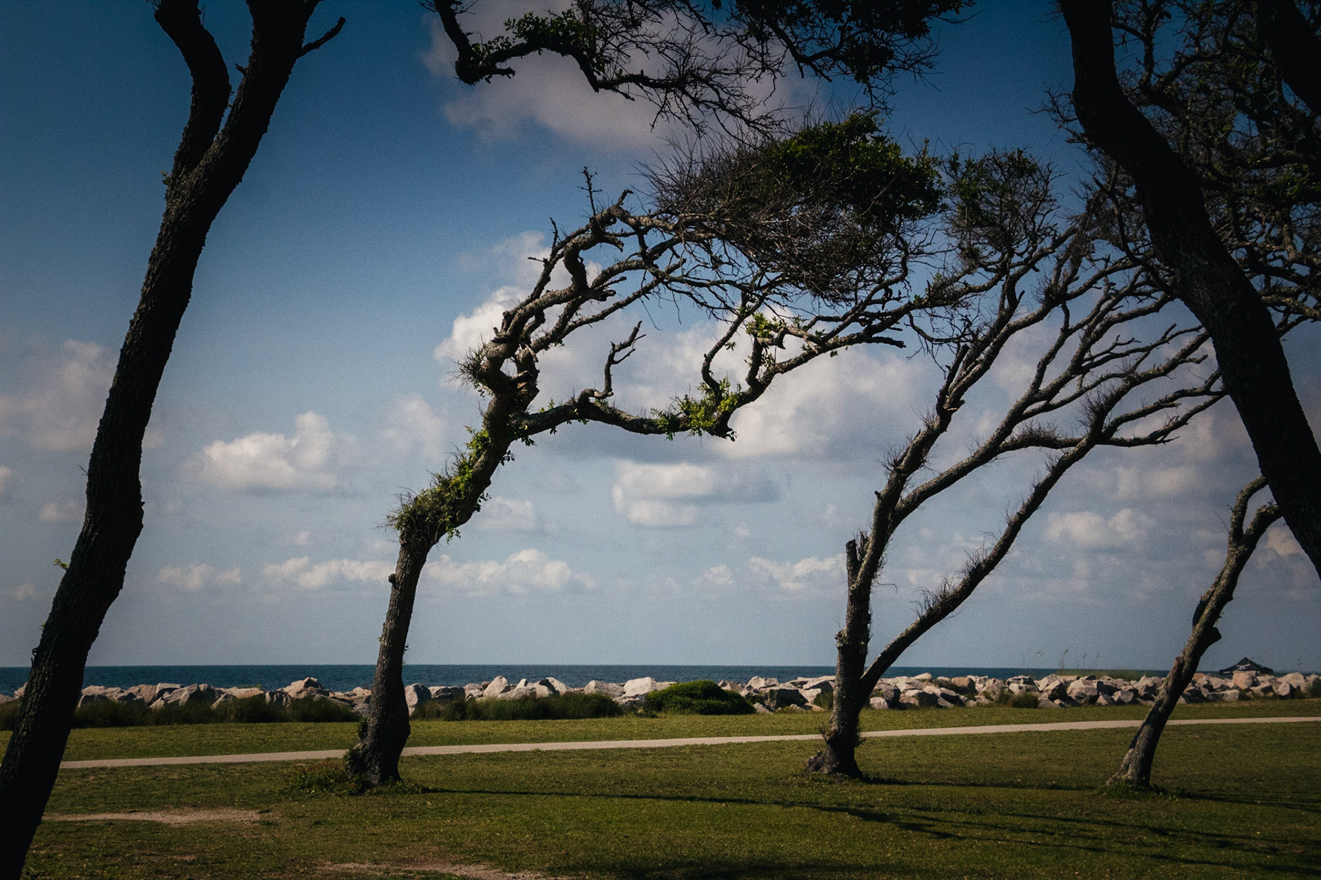 Wind Blown Wilmington North Carolina