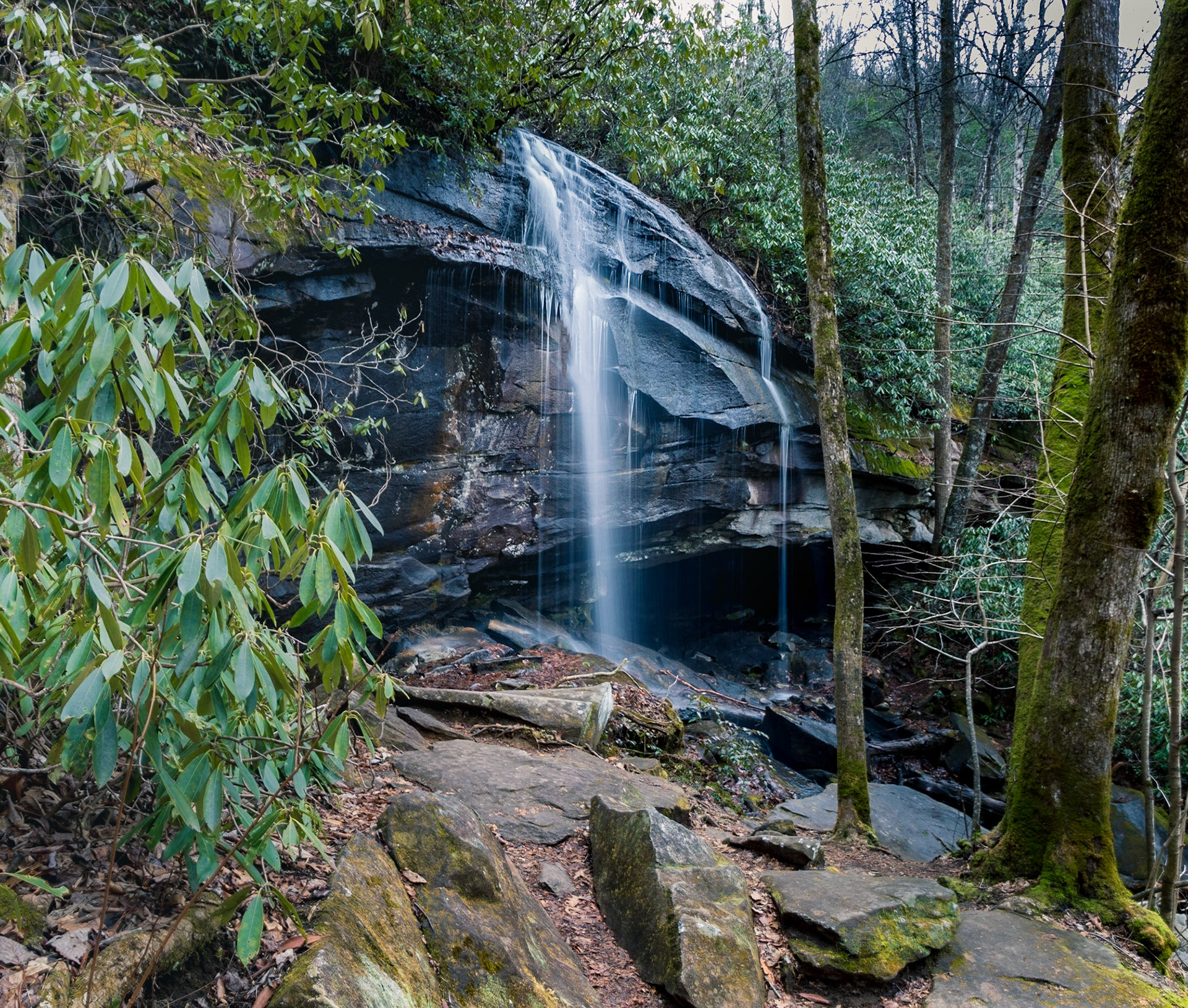 Old Logging Road Waterfall North Carolina