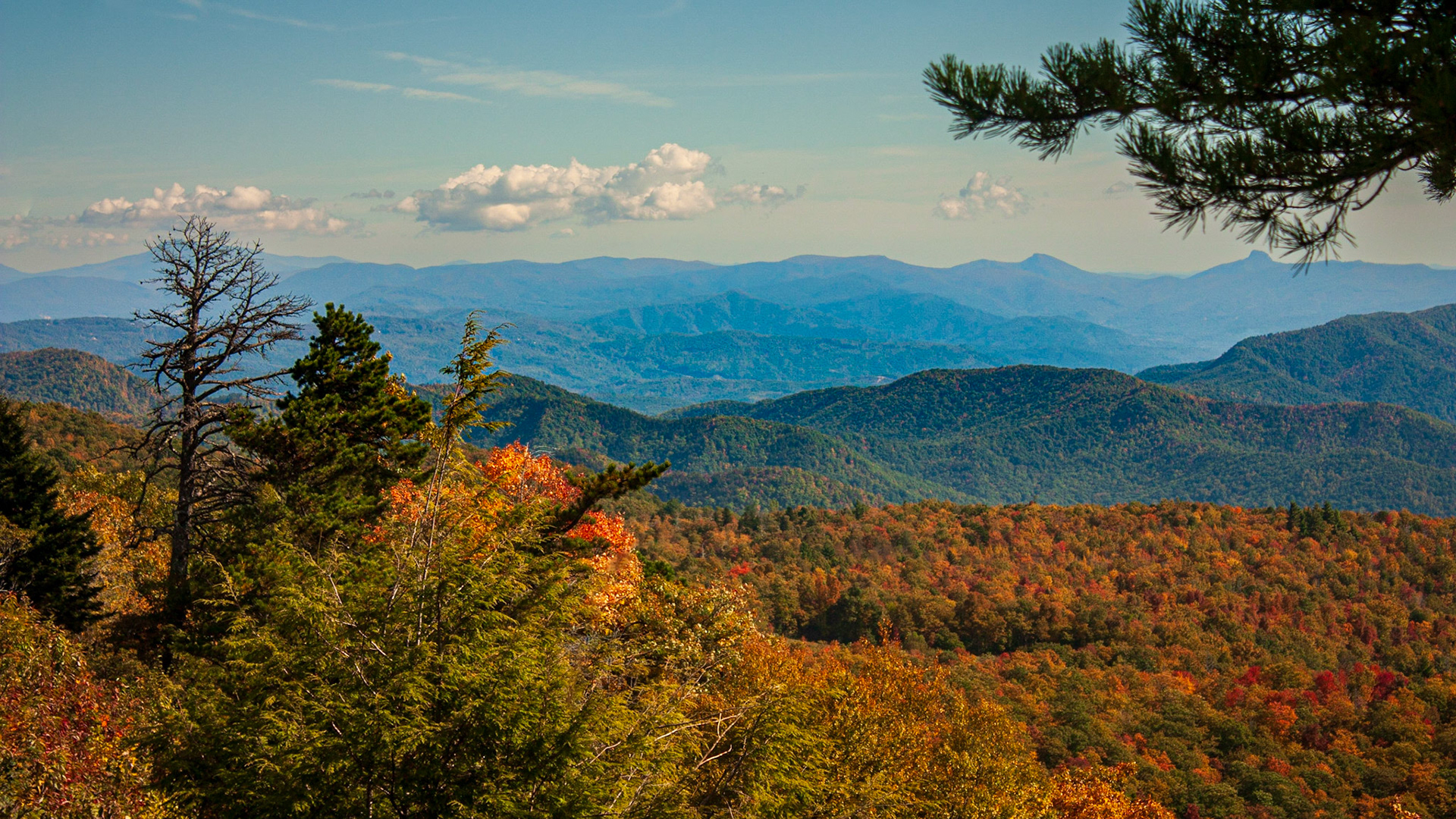 Fall on Blue Ridge Parkway 2