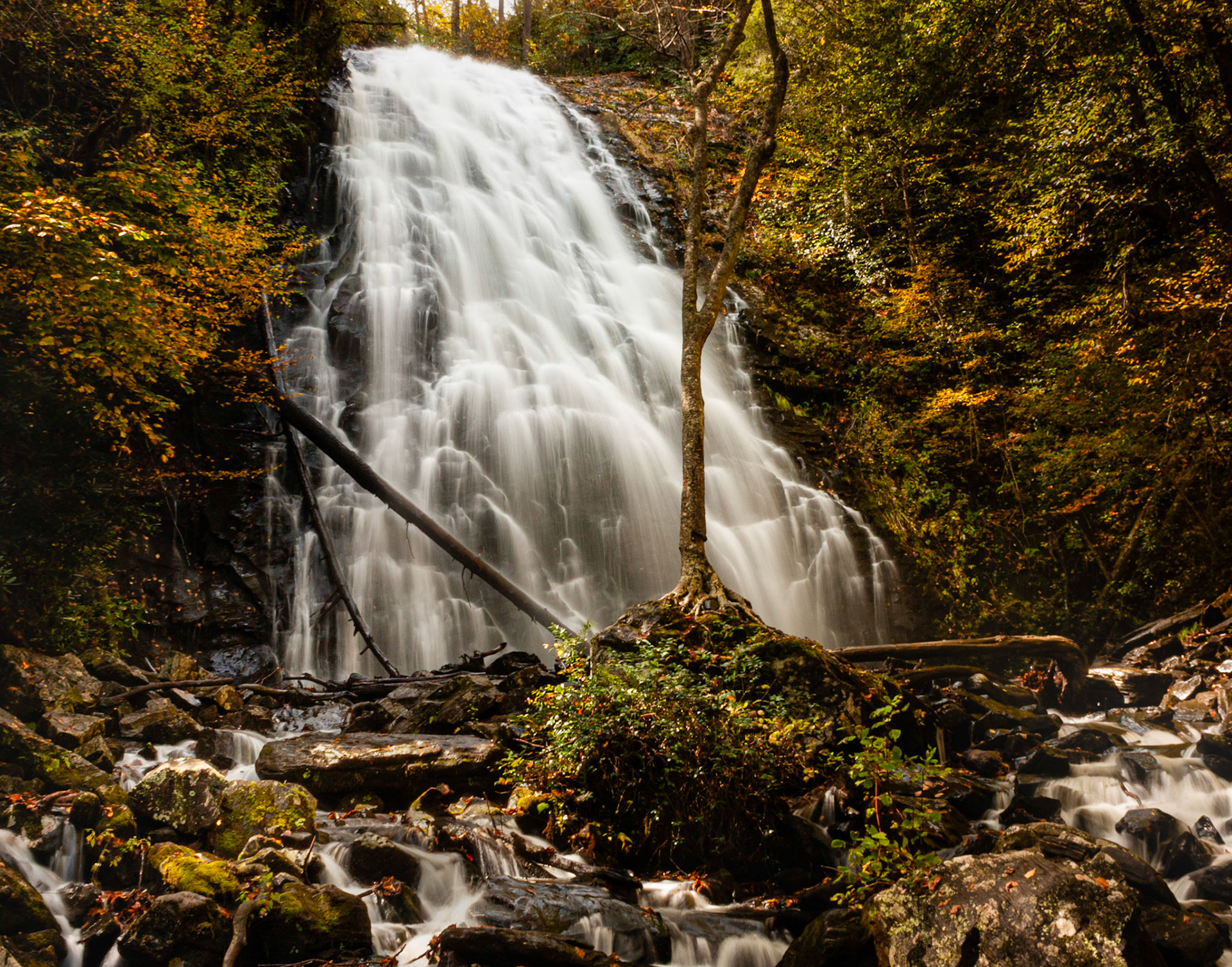Fall on Blue Ridge Parkway