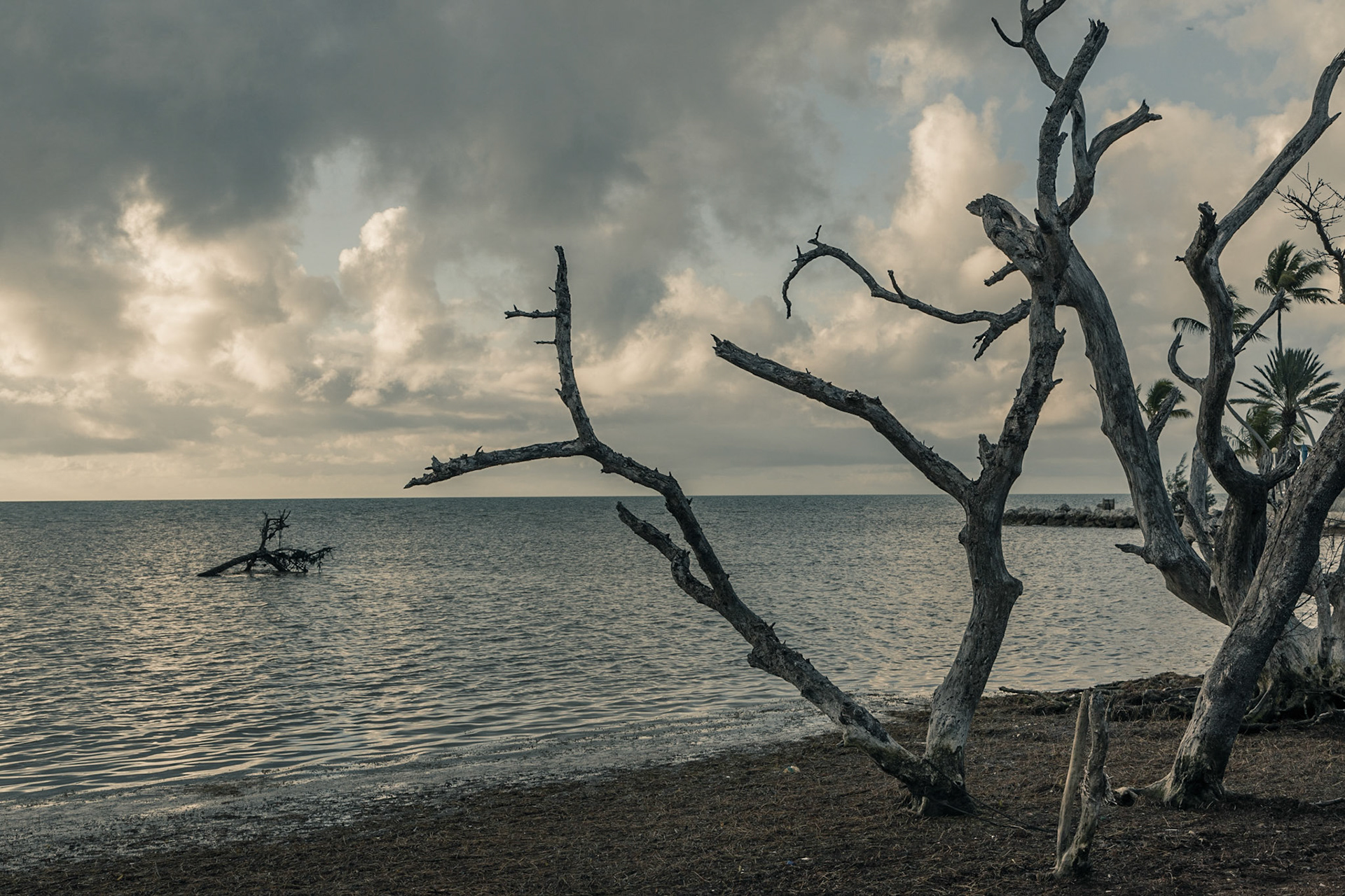 Gray Day Florida Keys