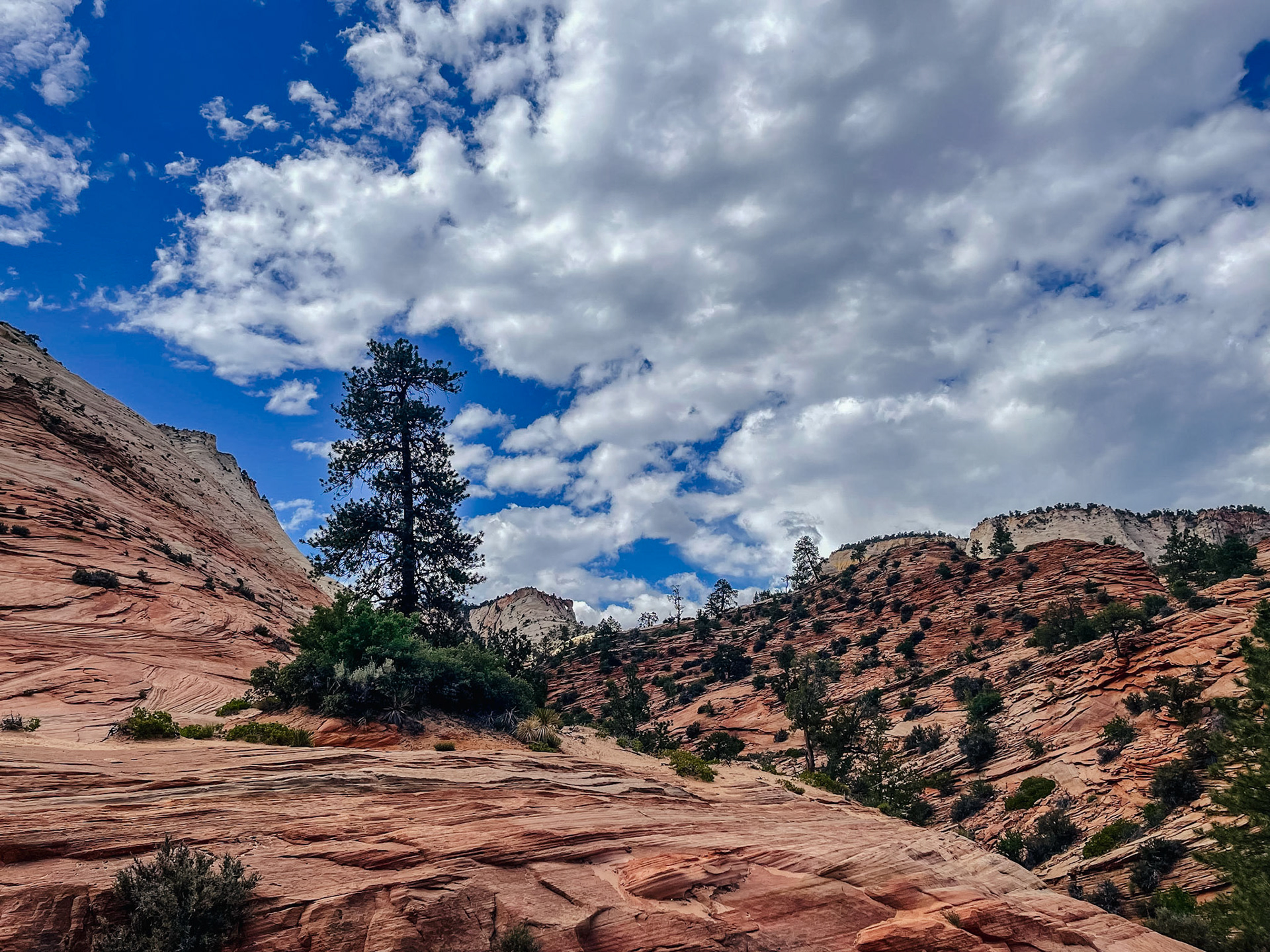 Zion National Park 2