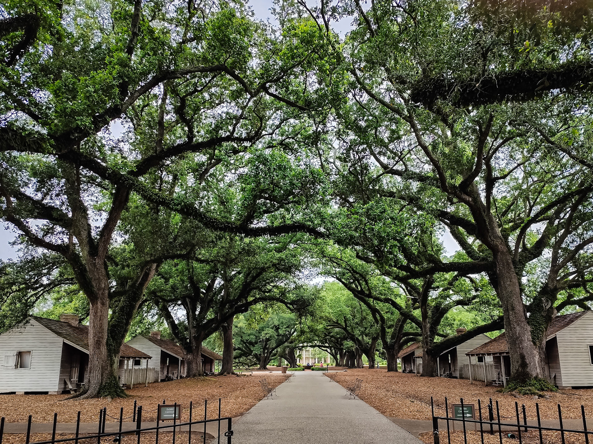 Vacherie - Oak Valley