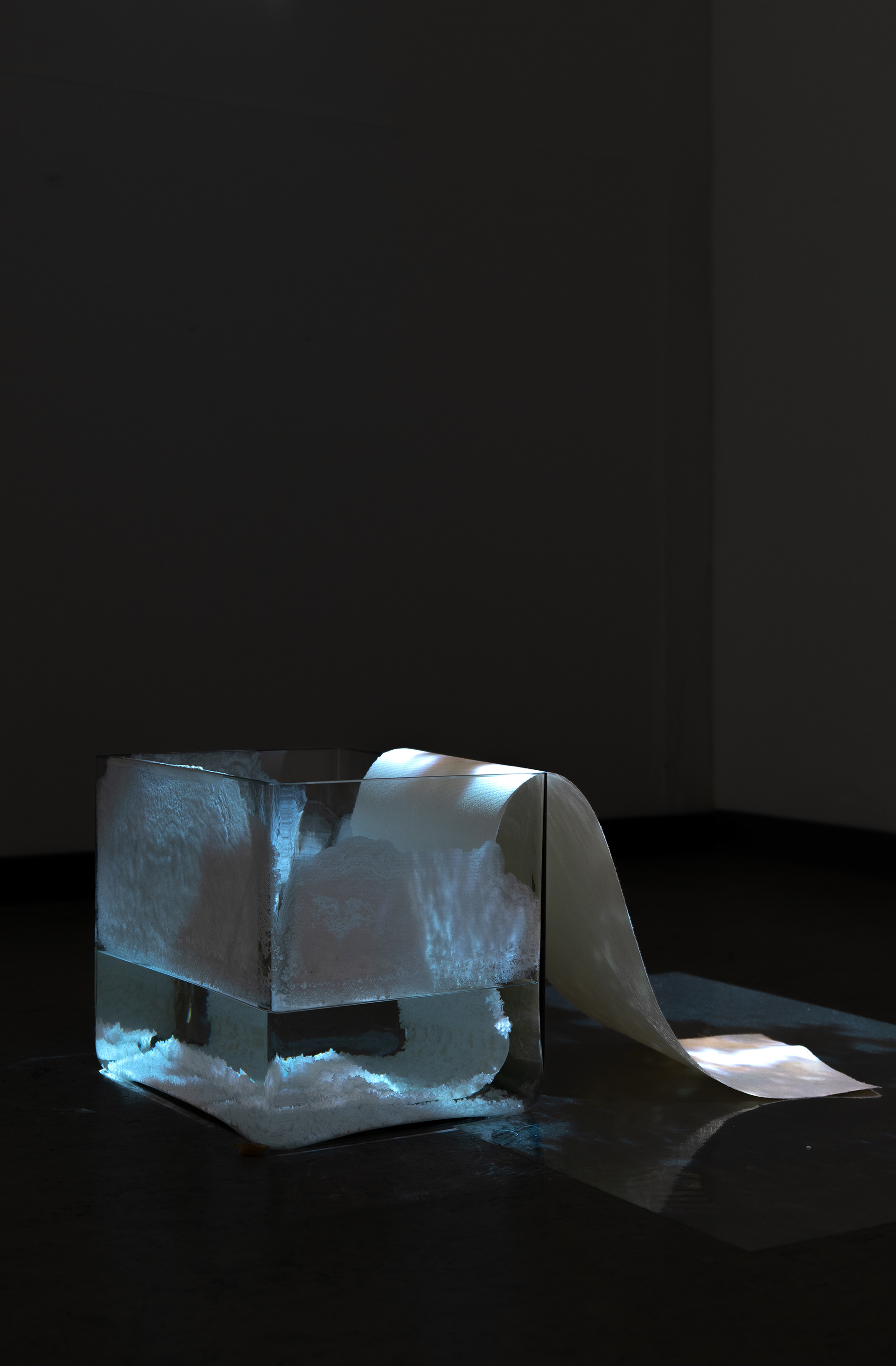 Lécher les flaques, installation vidéo exposition Asymmetrie, Gedok, Karlsruhe, 2025