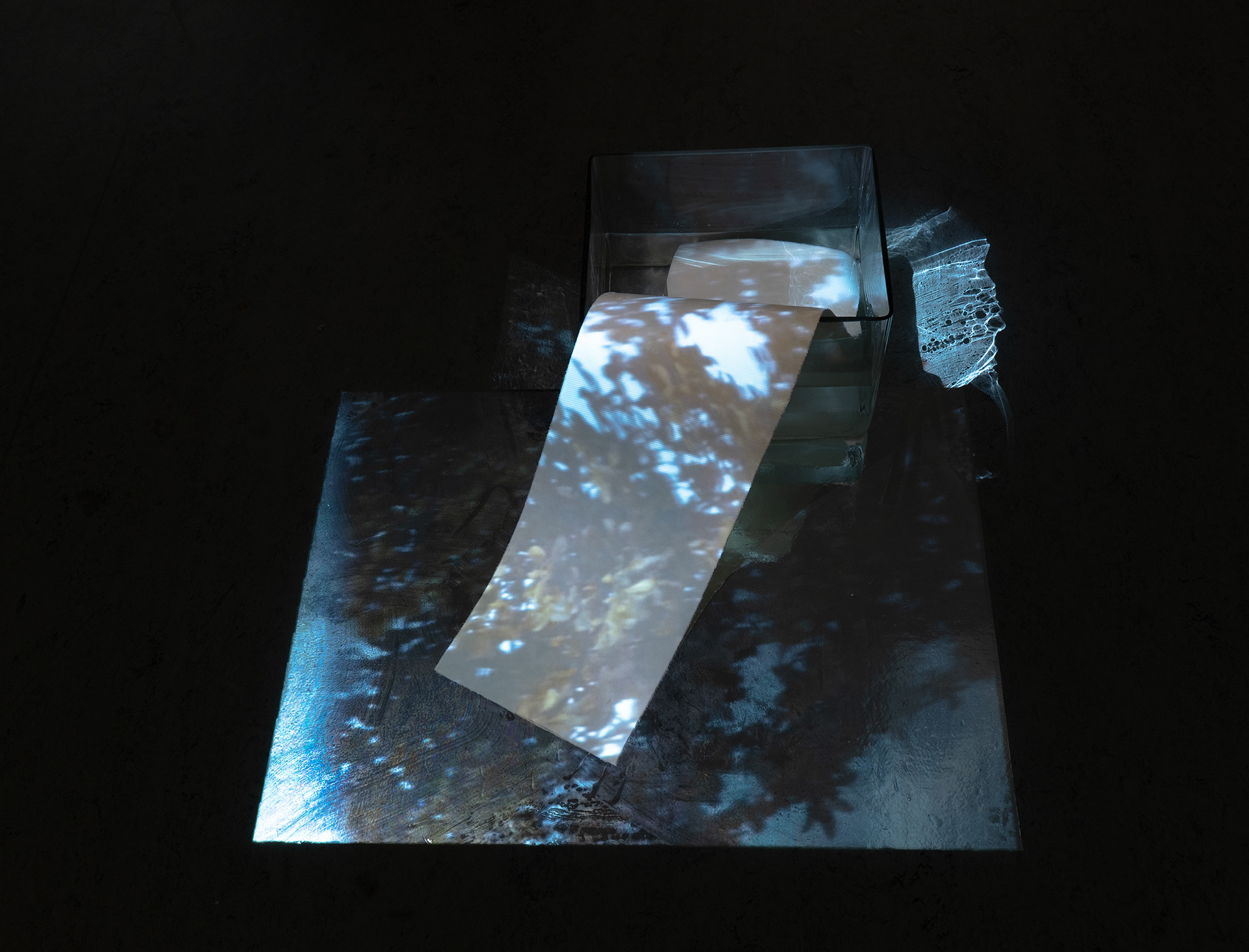 Lécher les flaques, installation vidéo exposition Asymmetrie, Gedok, Karlsruhe, 2025