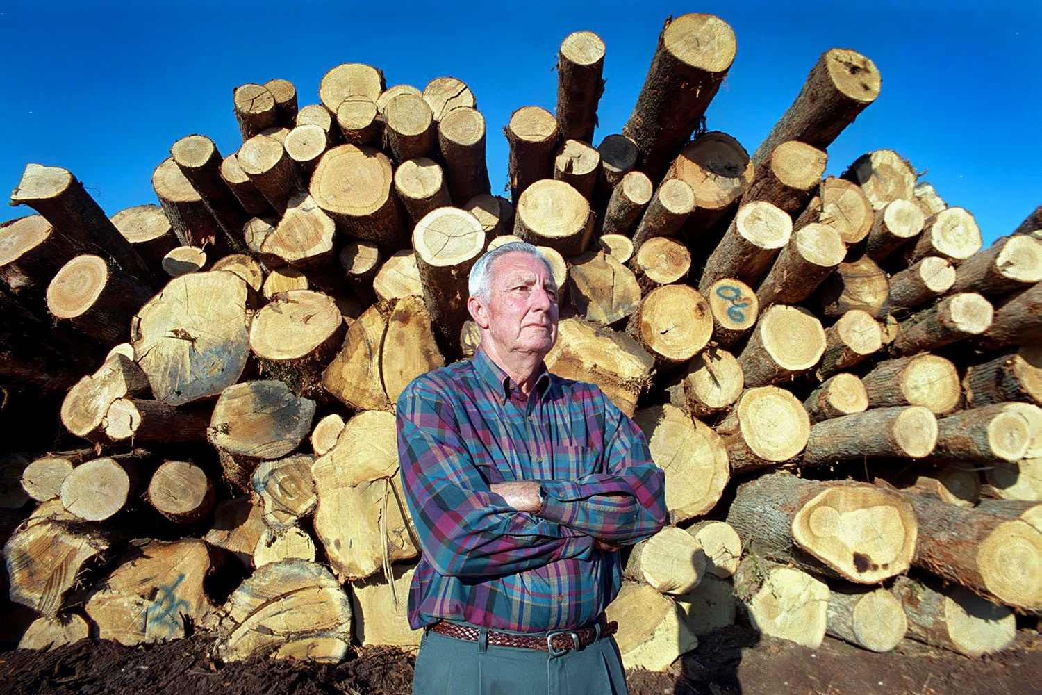 Lumber industry in Fayette County