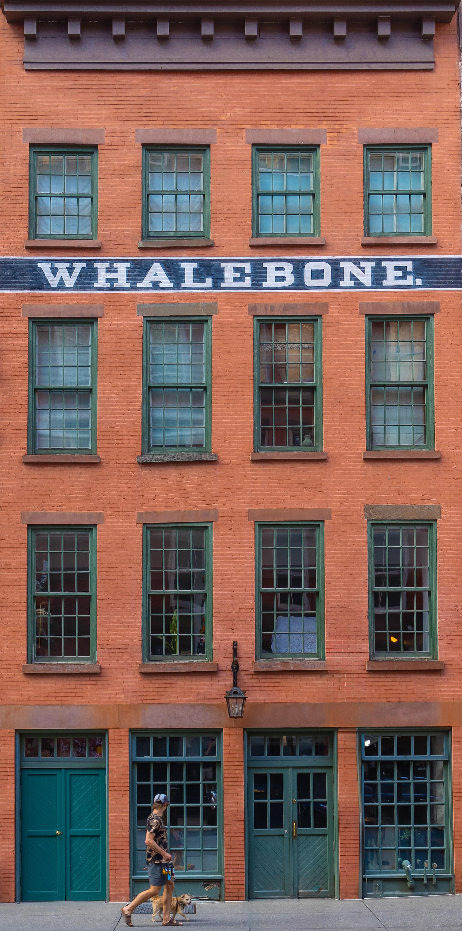 The Whalebone