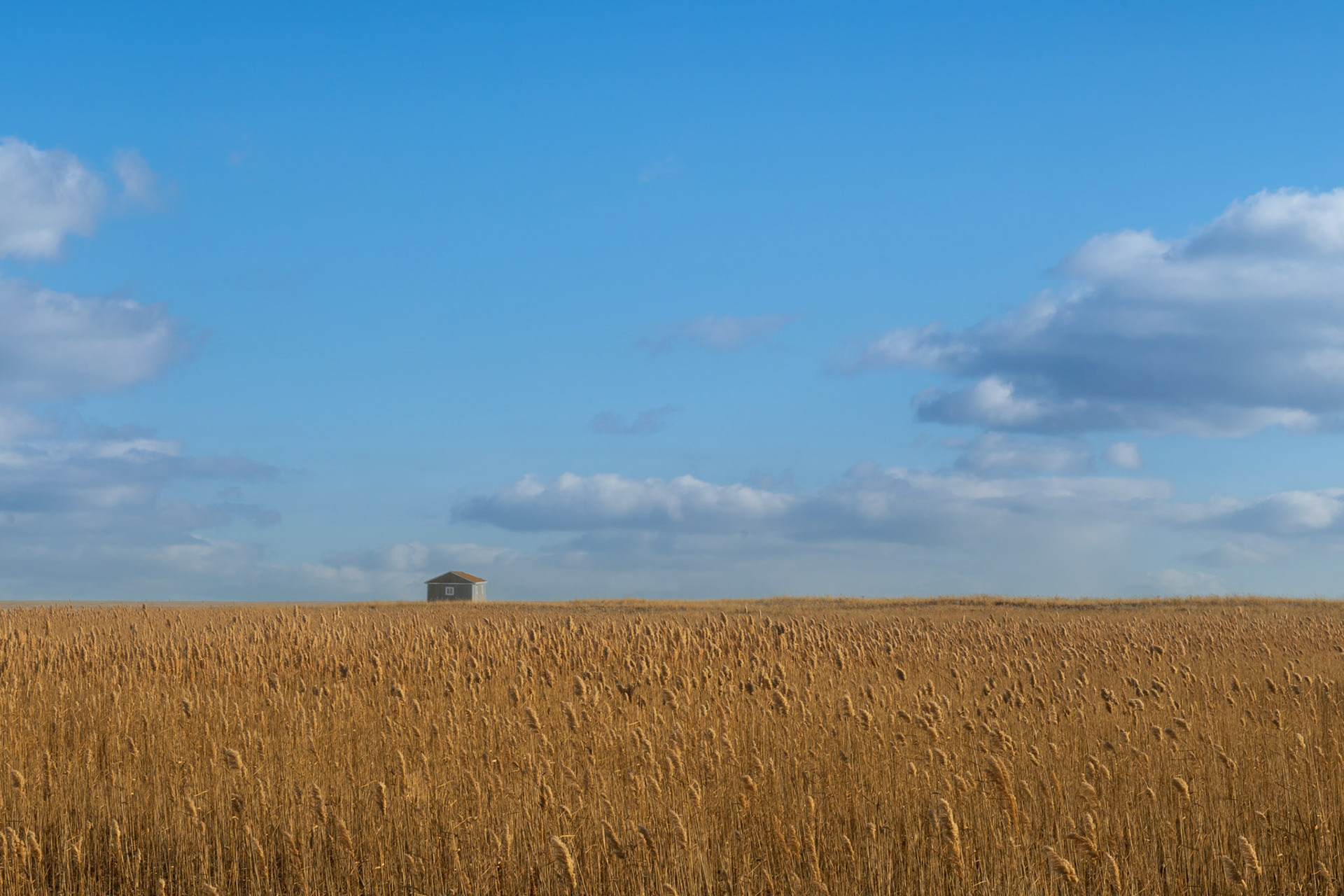 solitude