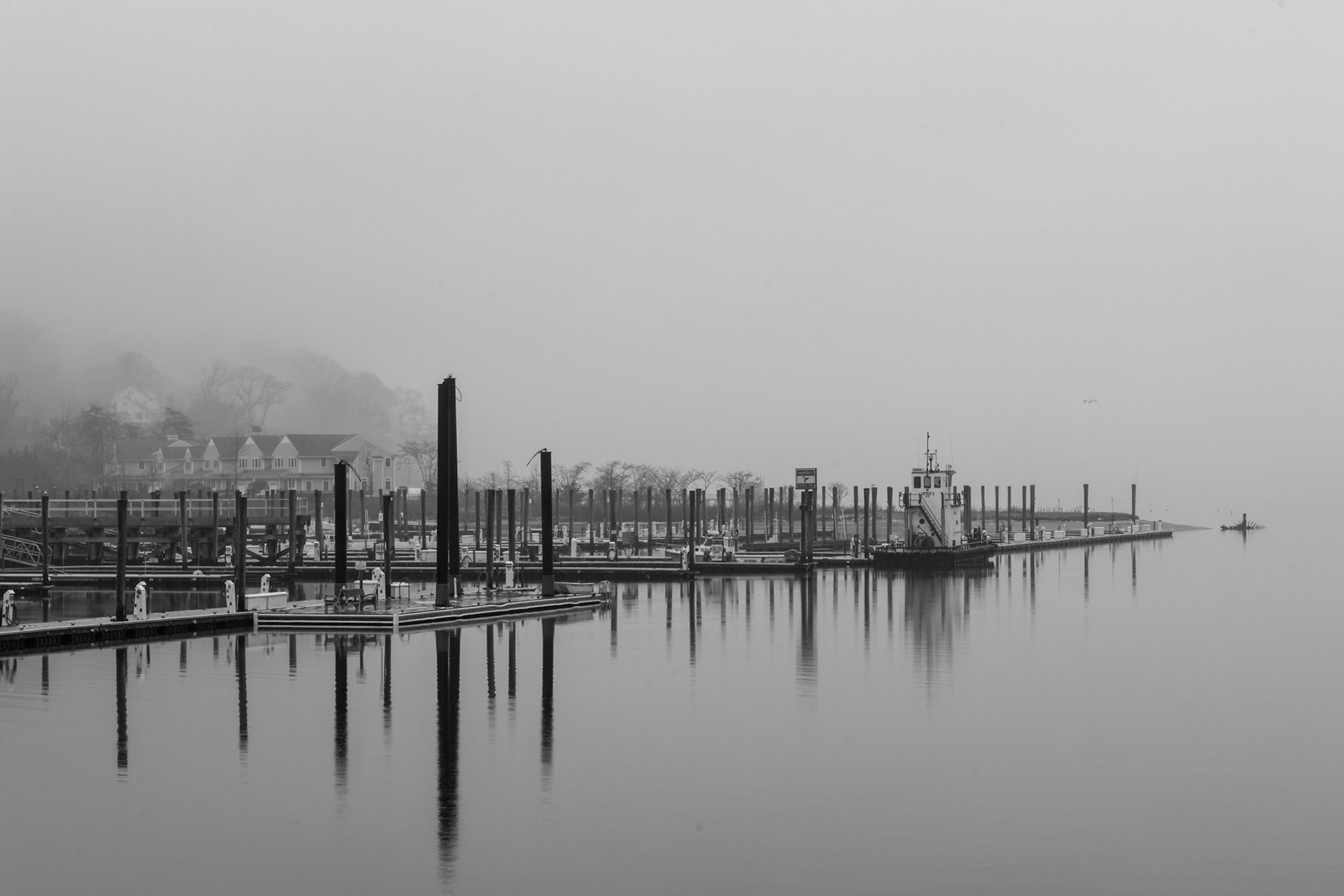 Cove in the Fog