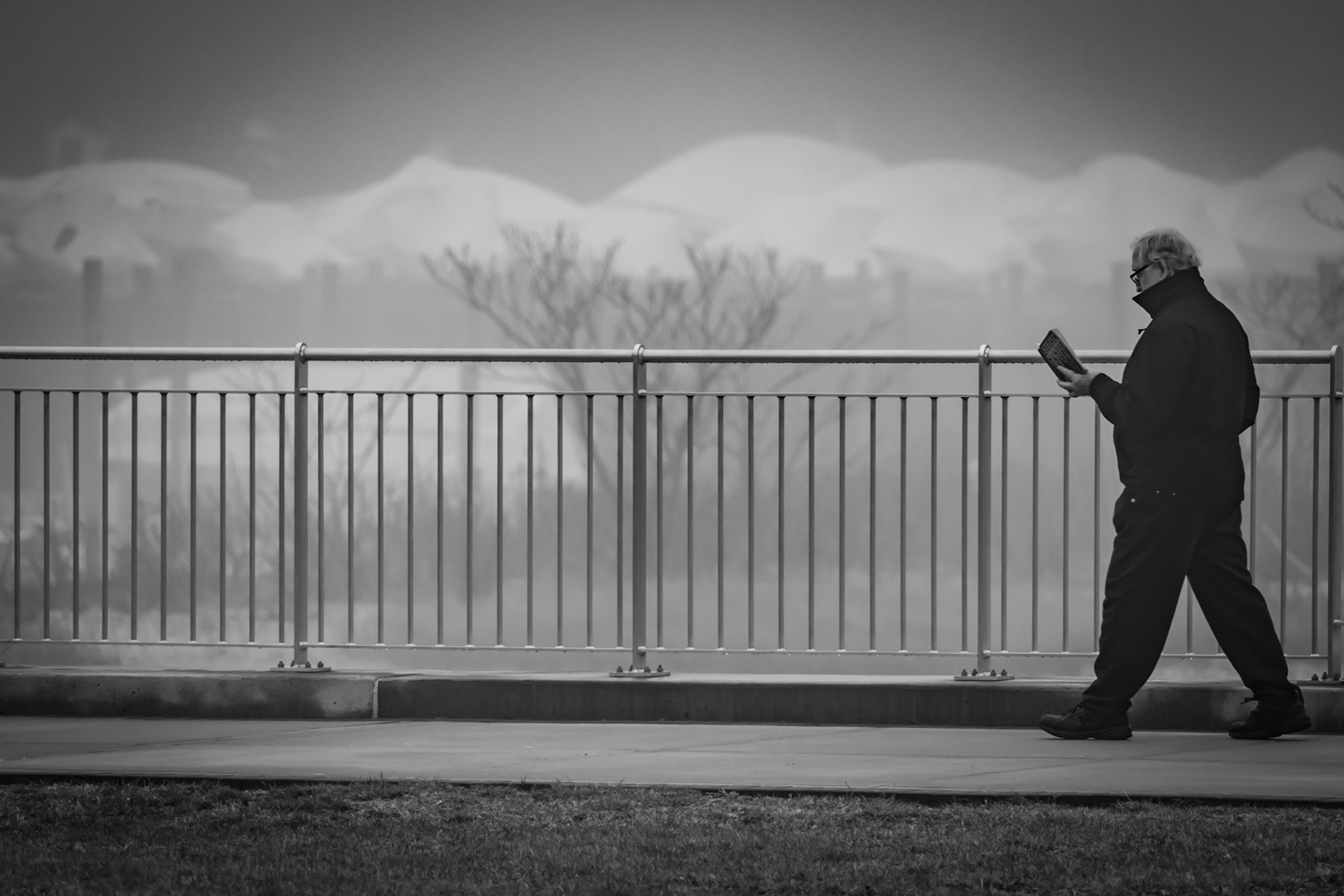 the reader