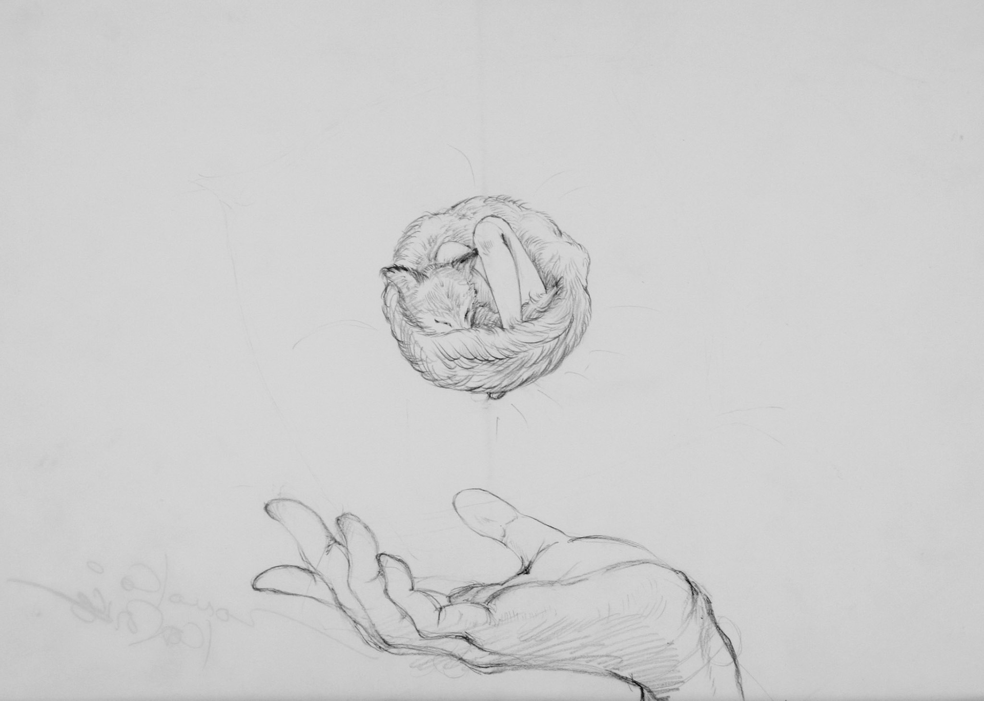 鴻池朋子TMK_D2005-11