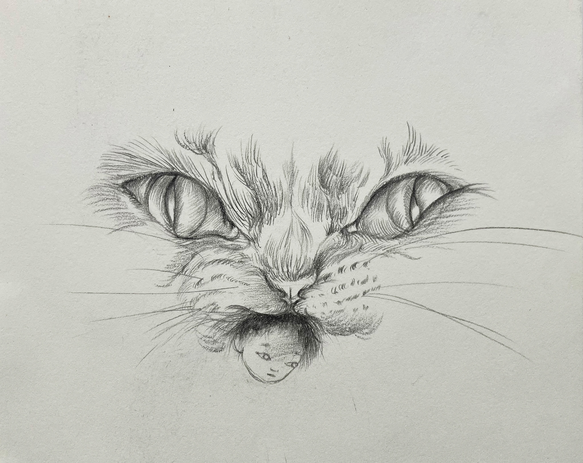 鴻池朋子い_鉛筆14.4x18.5cm