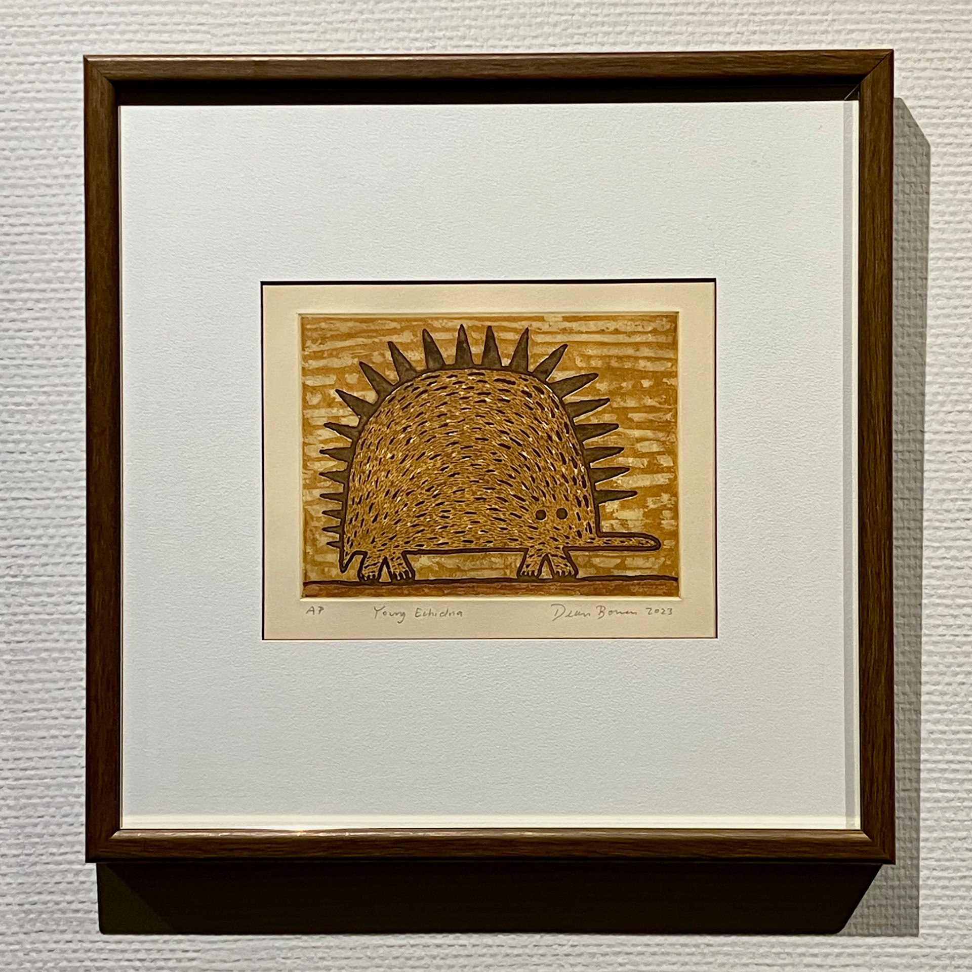 若いハリモグラ 41×41cm 銅版画