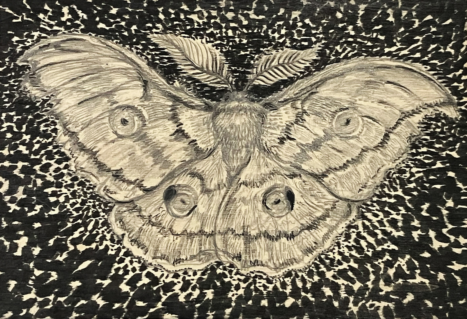 鴻池朋子せ_ワカタケル板絵a16x11cm