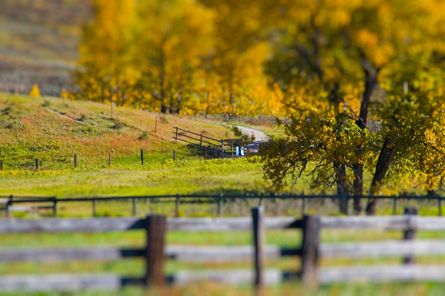 ranch fence sunrise Calgary