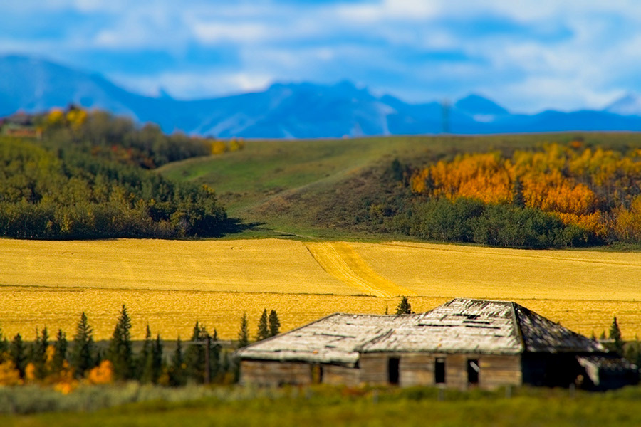 Calgary farm hay field Rockies