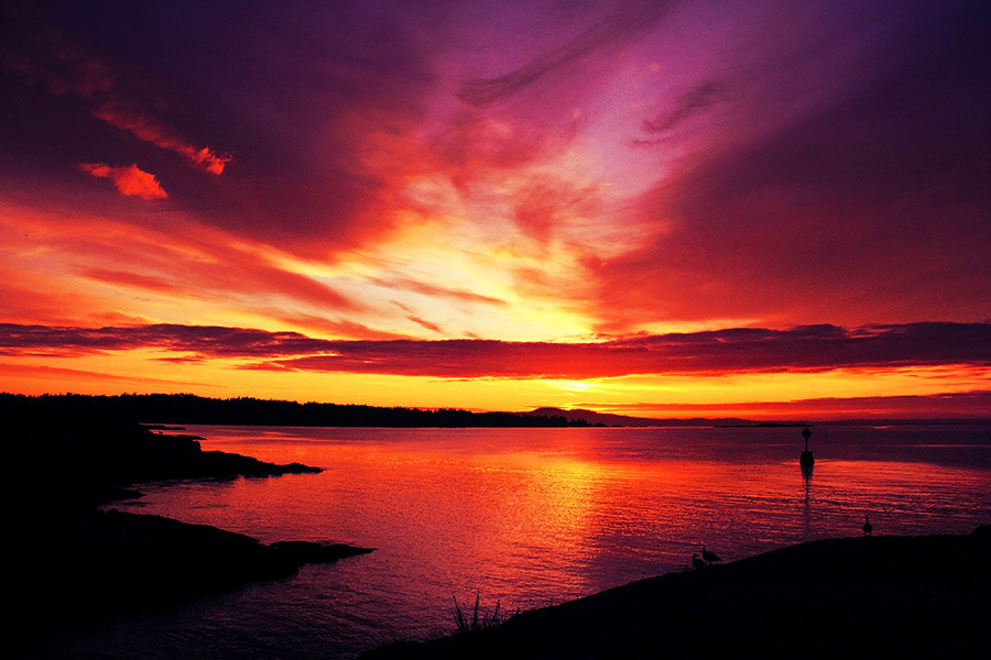 west coast vancouver island sunrise