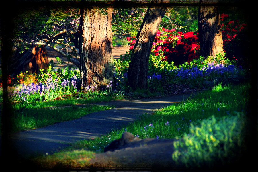 Victoria's Beacon Hill pathway
