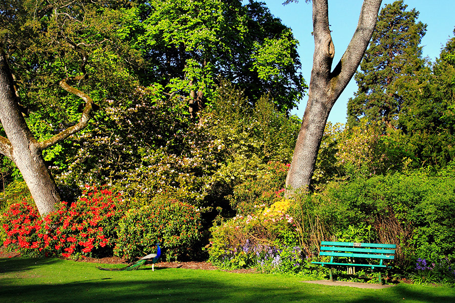 Victoria's Beacon Hill Park