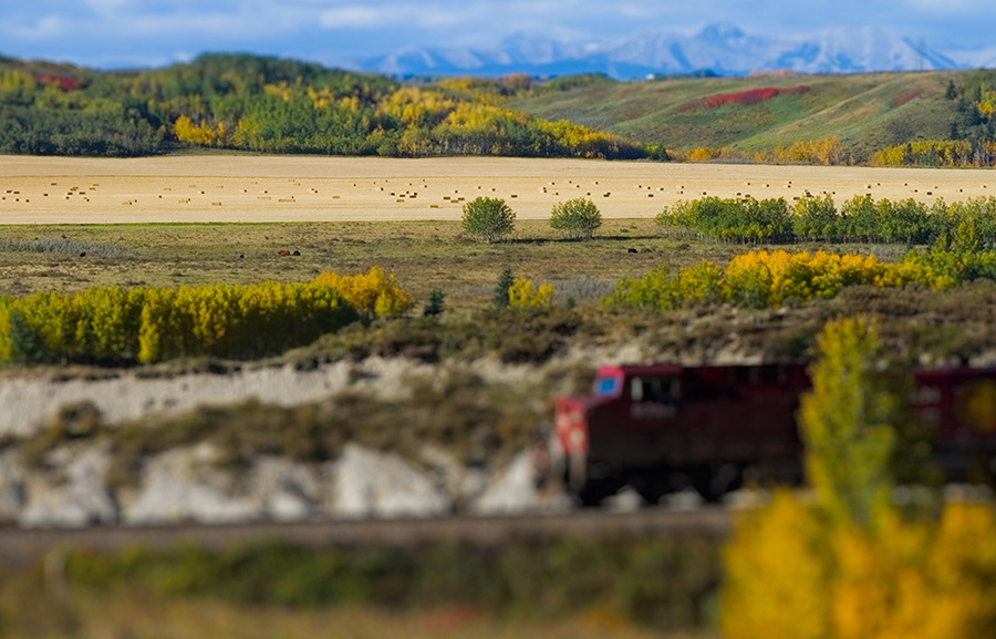 train CN Rail Calgary mountains