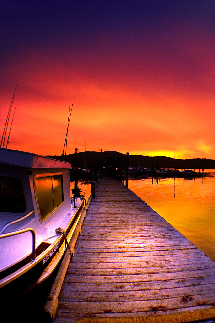 Vancouver Island marina photo