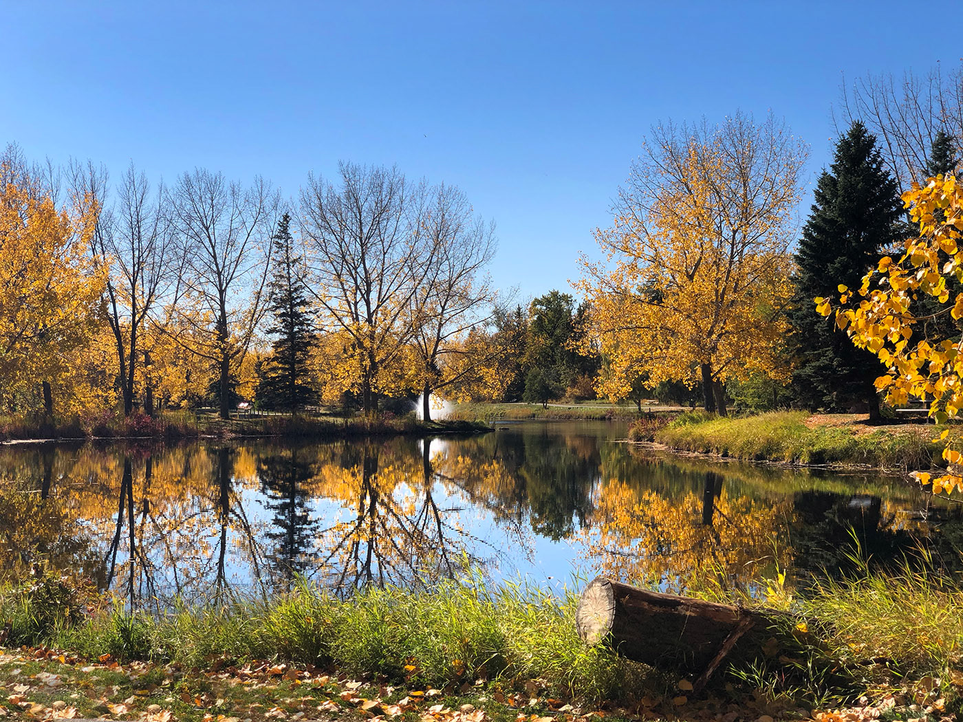 Red Deer Bower Ponds