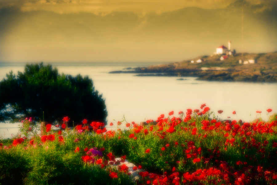 lighthouse Vancouver Island BC