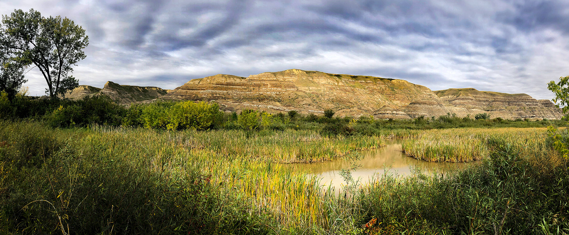 hoodoos Drumheller near Wayne Alberta