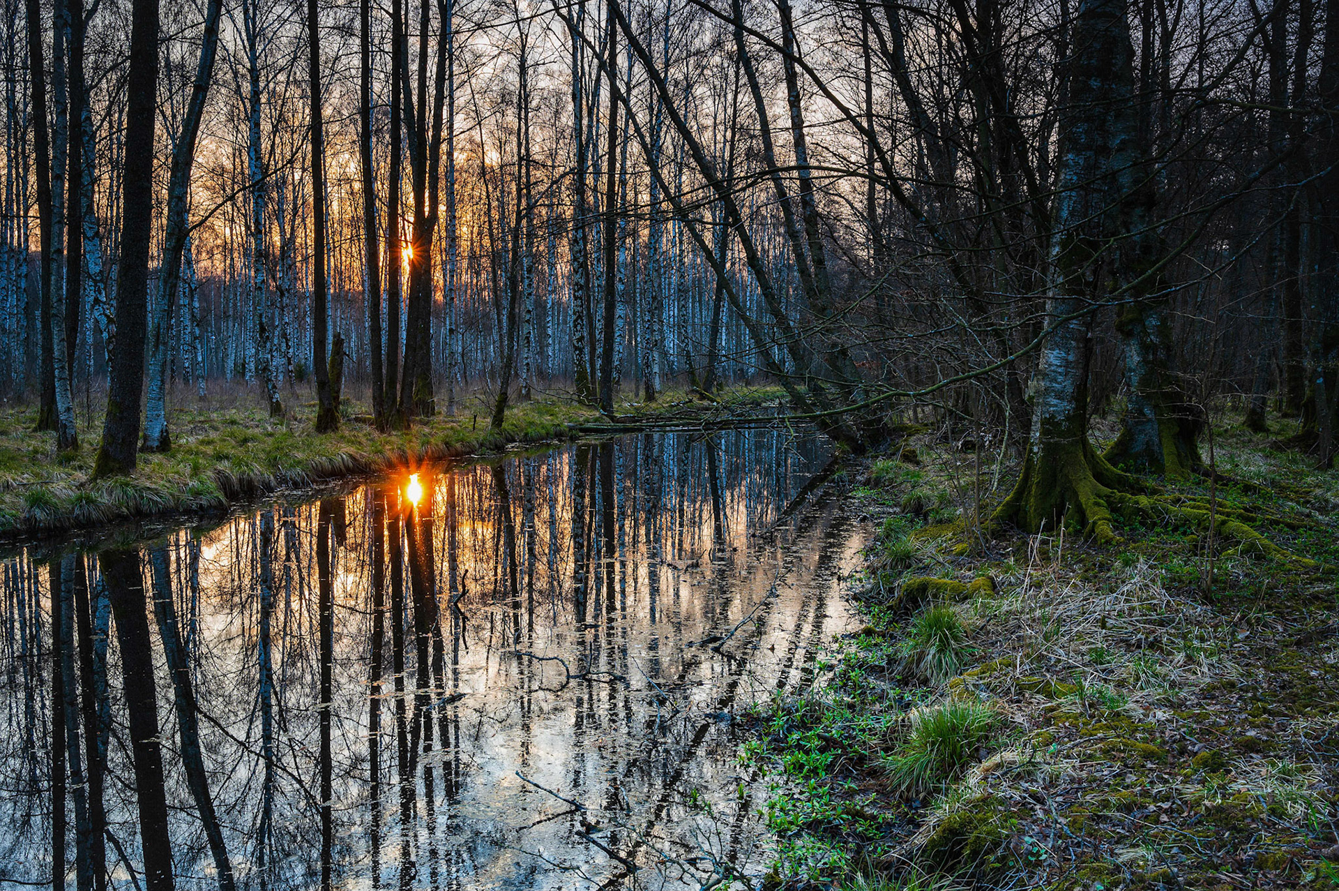 6 April 2019. Gunnebo, Mölndal, Sweden.