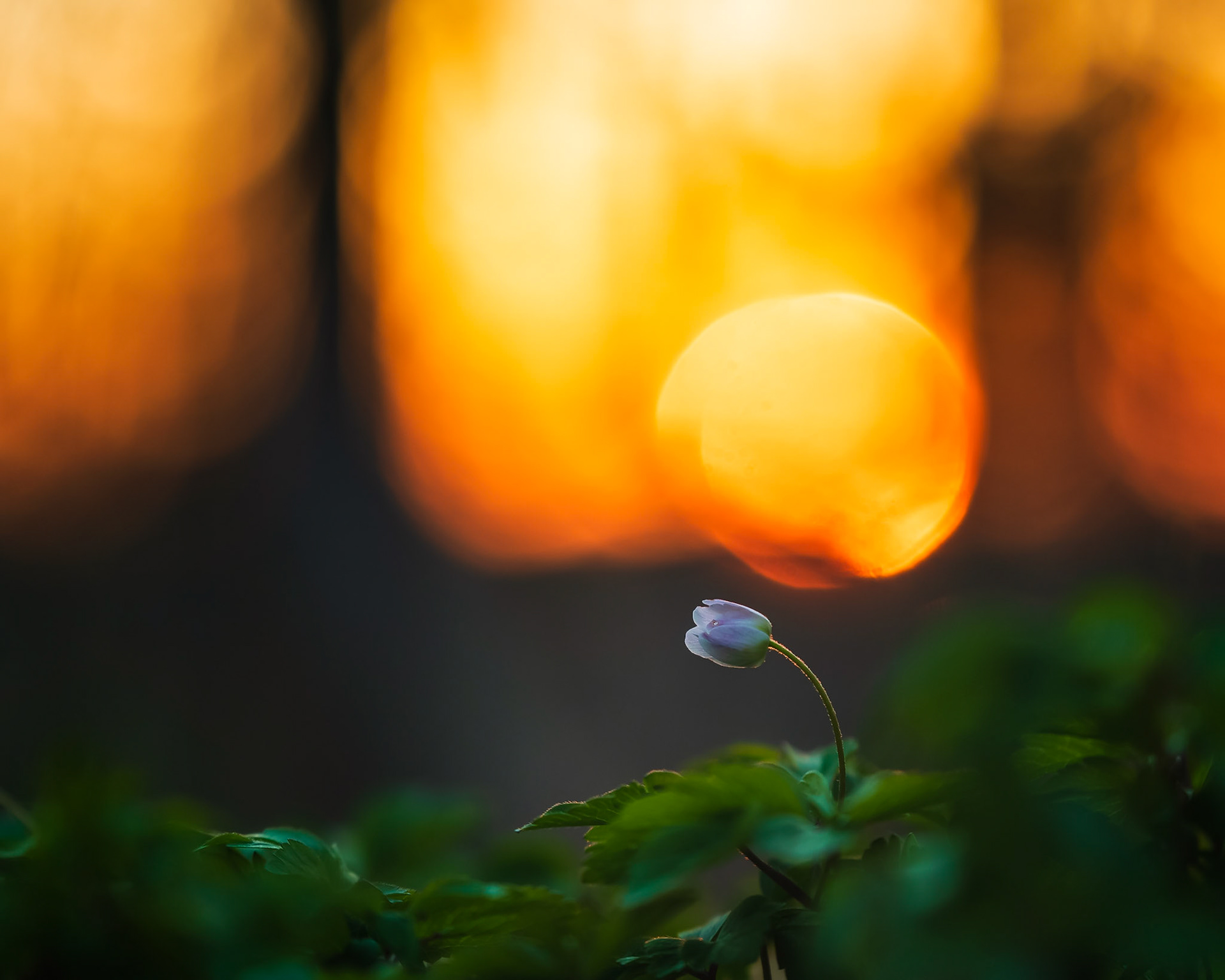 21 April 2019. Lindome, Mölndal, Sweden.