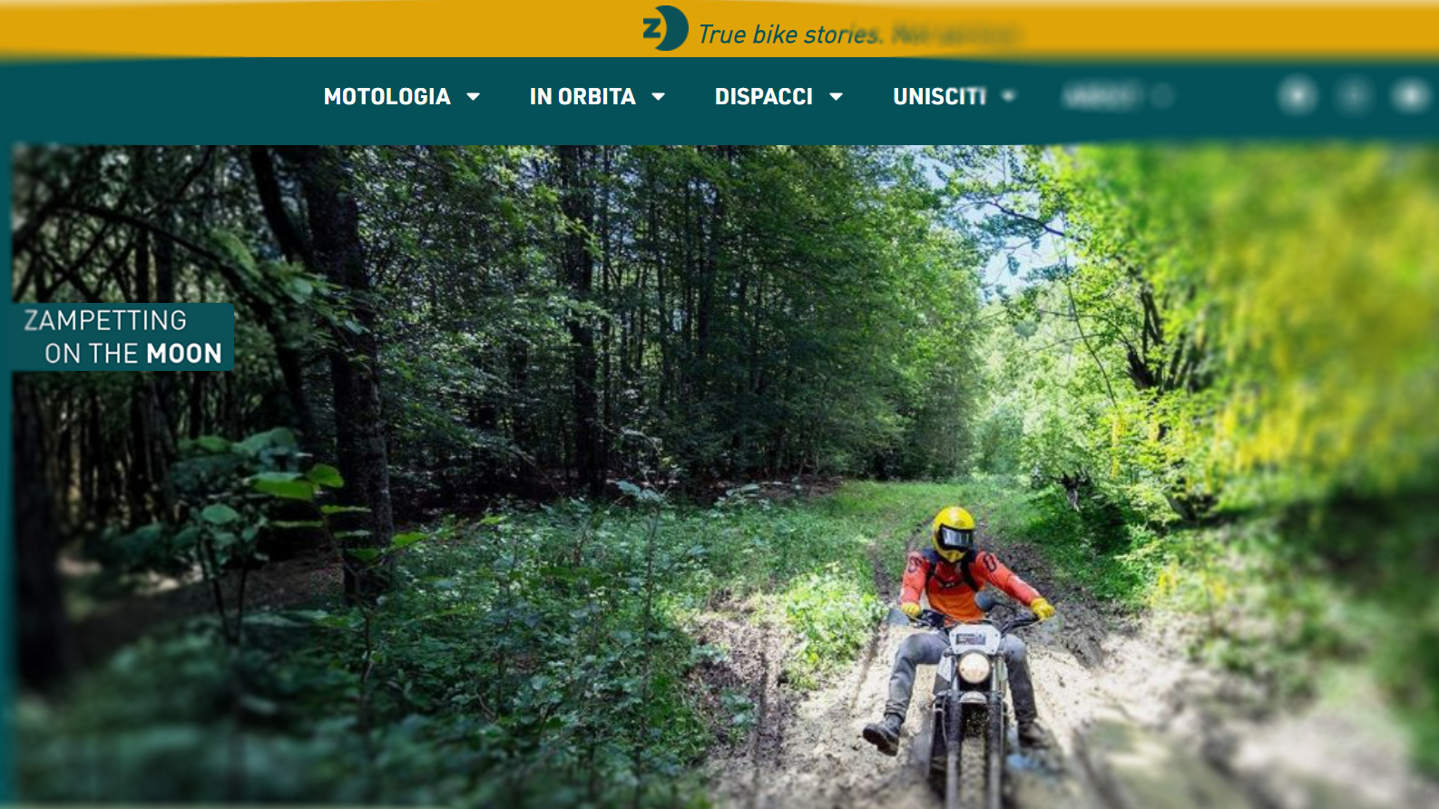 ZAMPETTING ON THE MOON TM | PROJECT