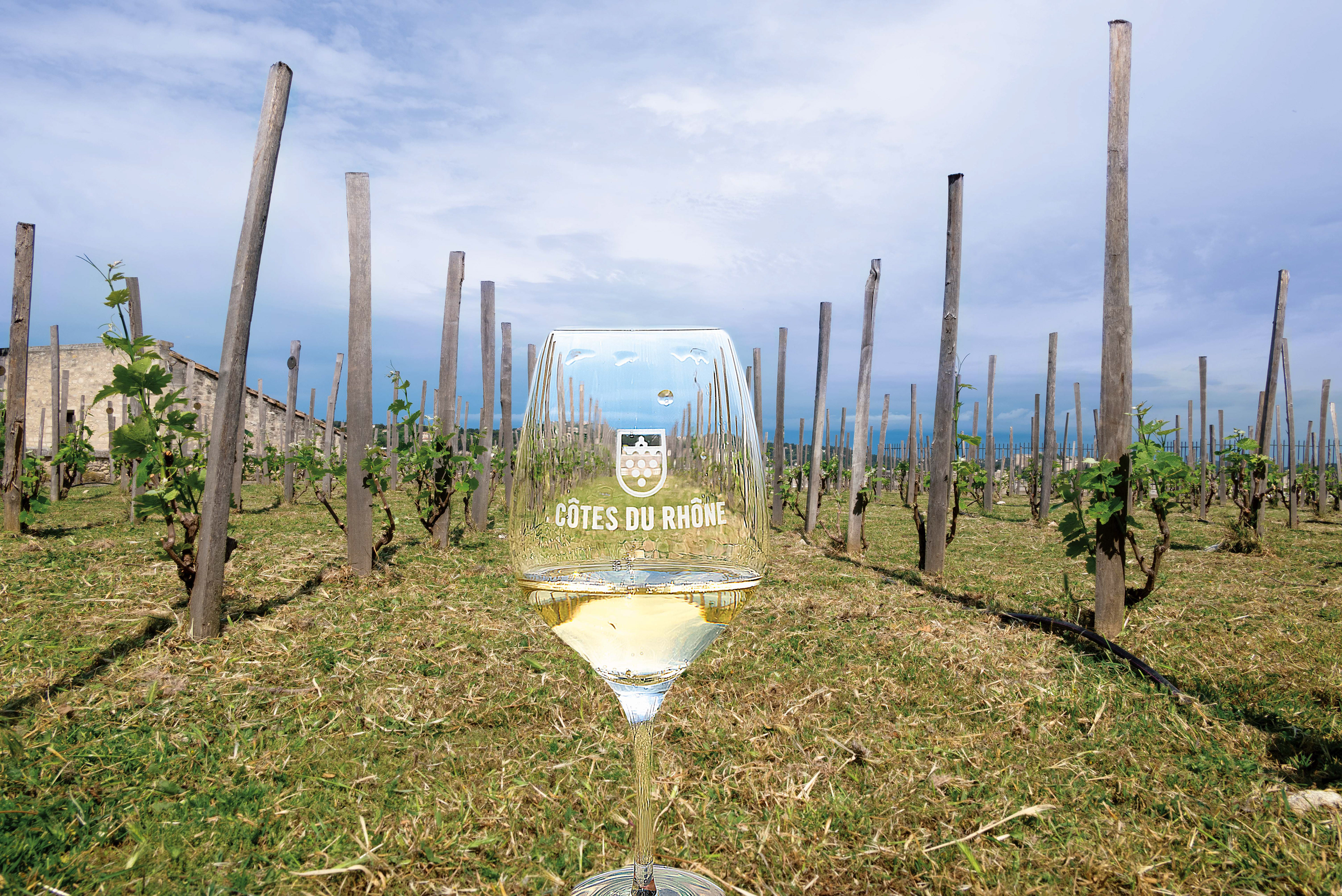 Clos de la Vigne du Palais des Papes Avignon | Reportage]