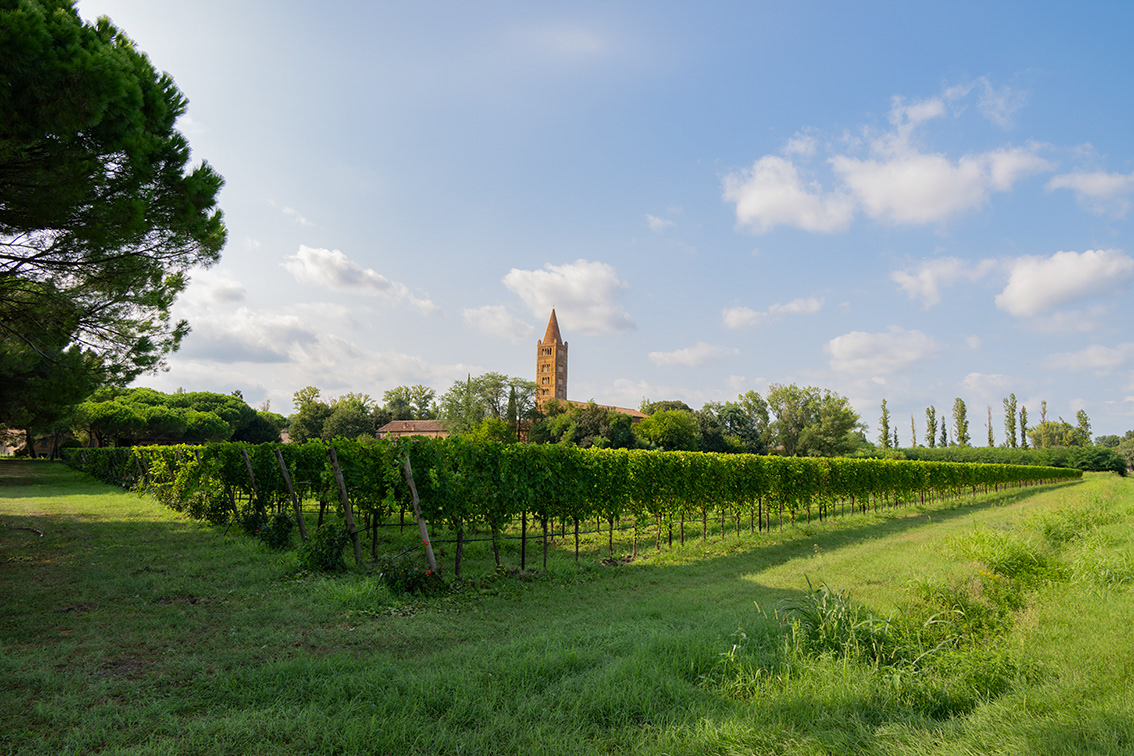 ABBAZIA_DI_POMPOSA [2024]