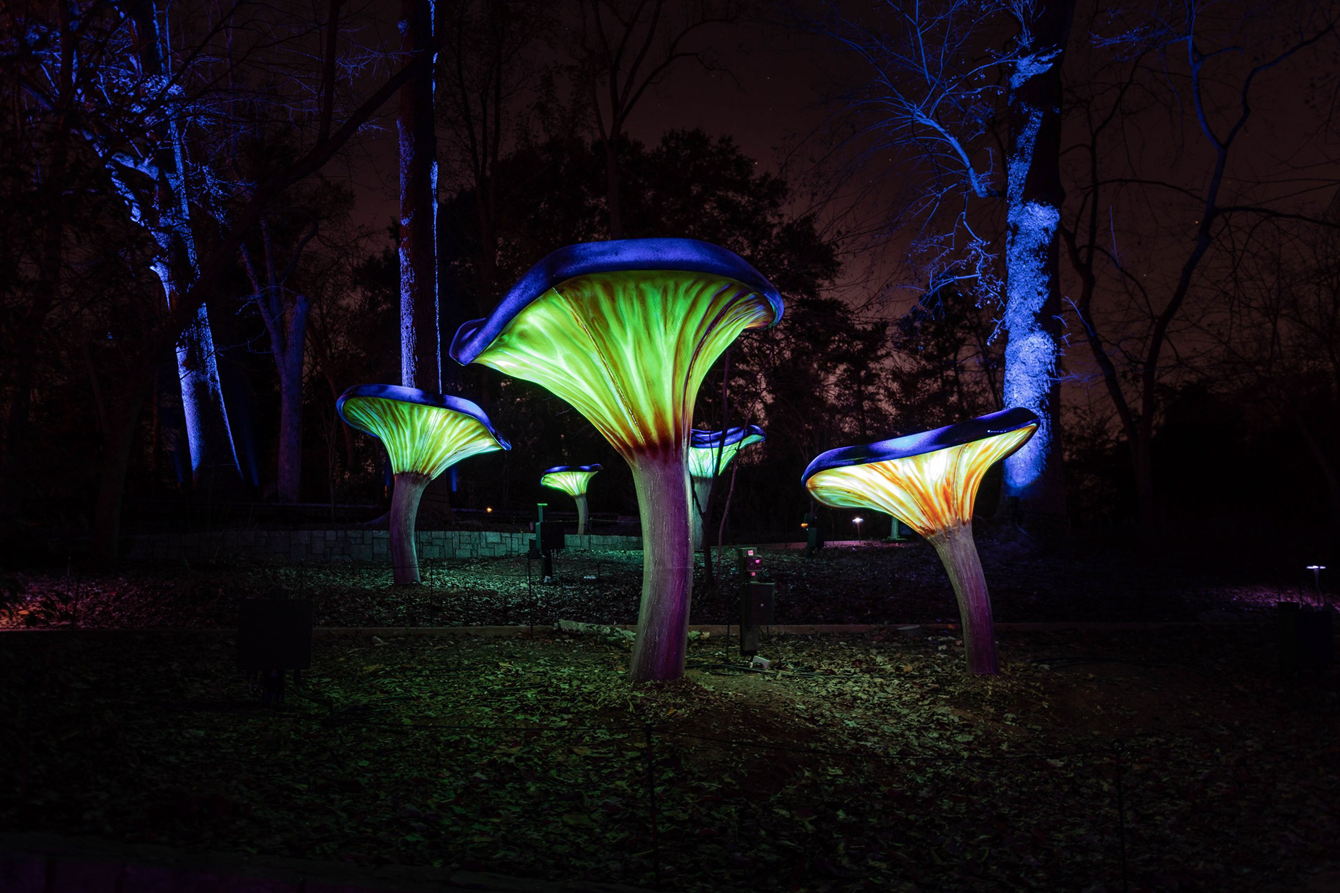 Motion-sensored singing mushrooms