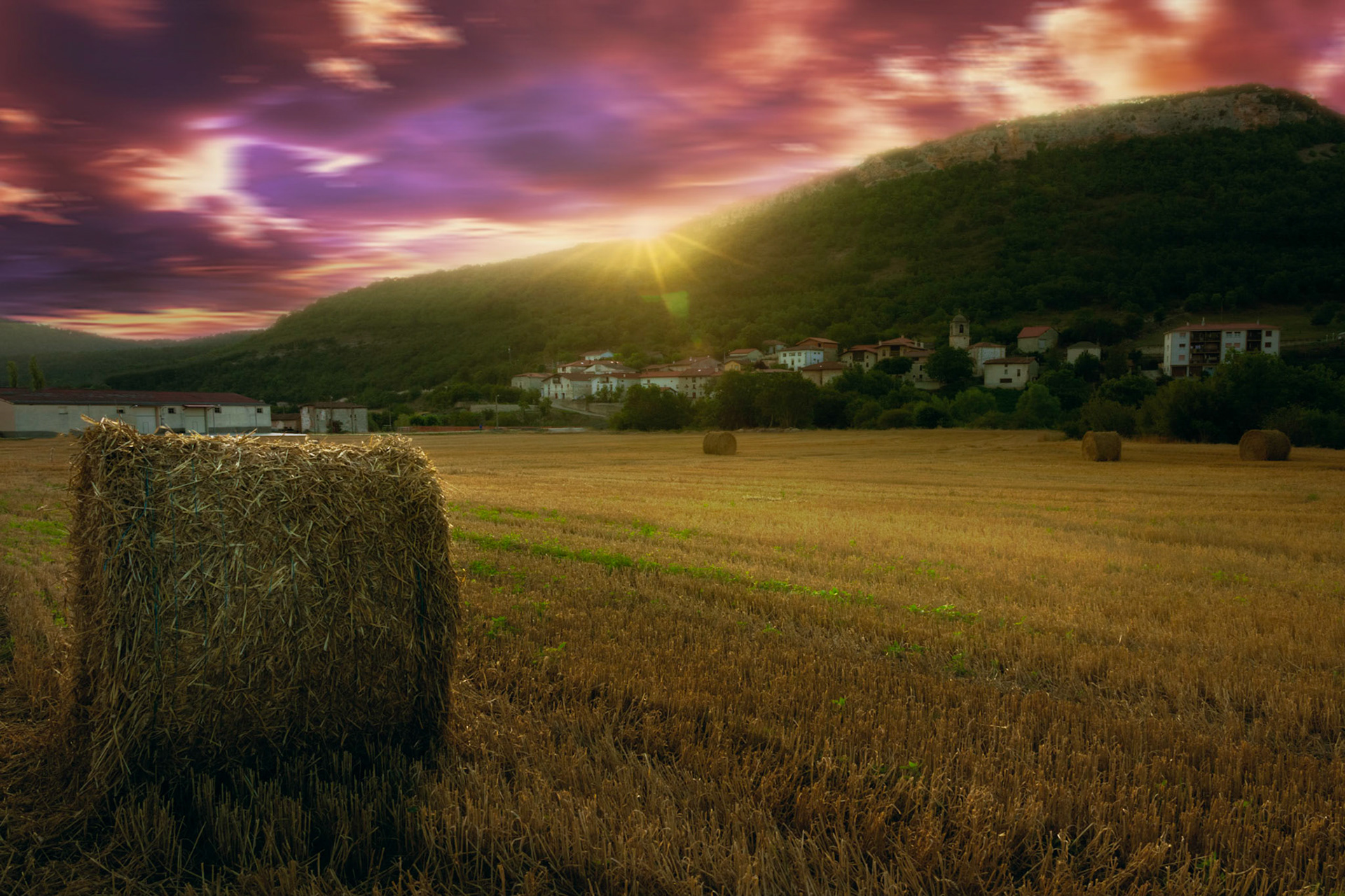 Villaluenga. Burgos