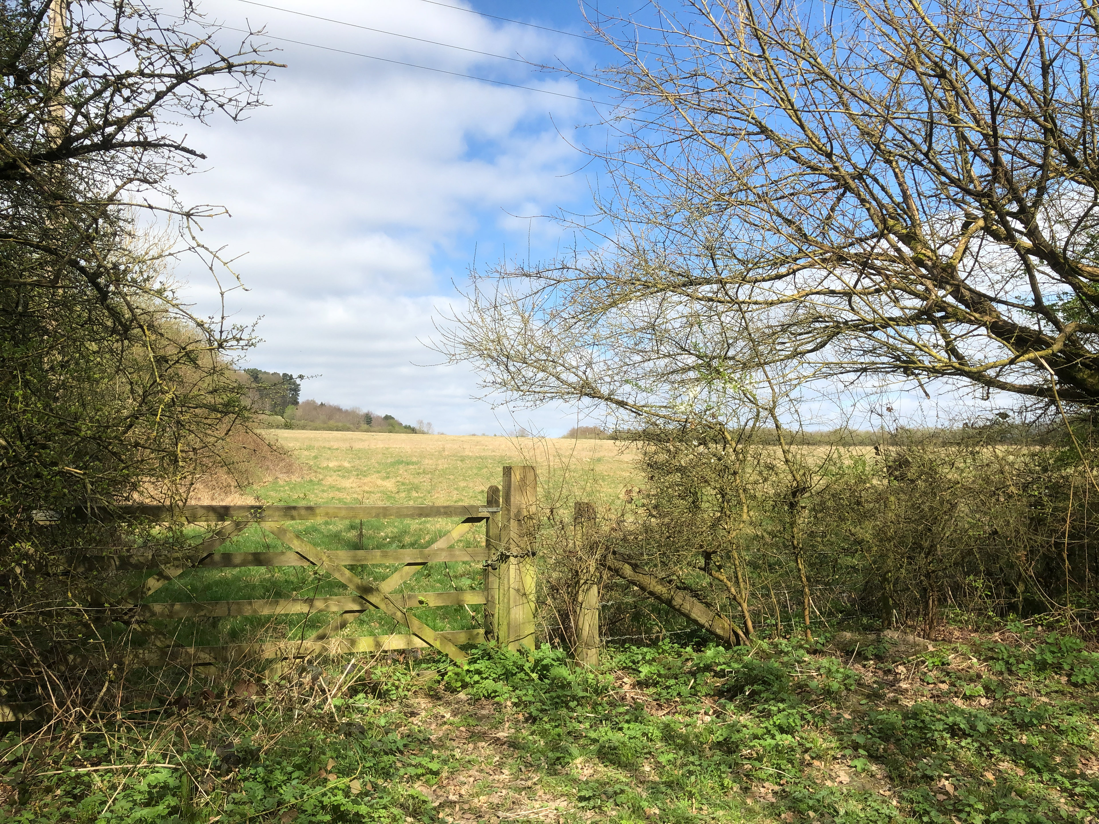 The Gate