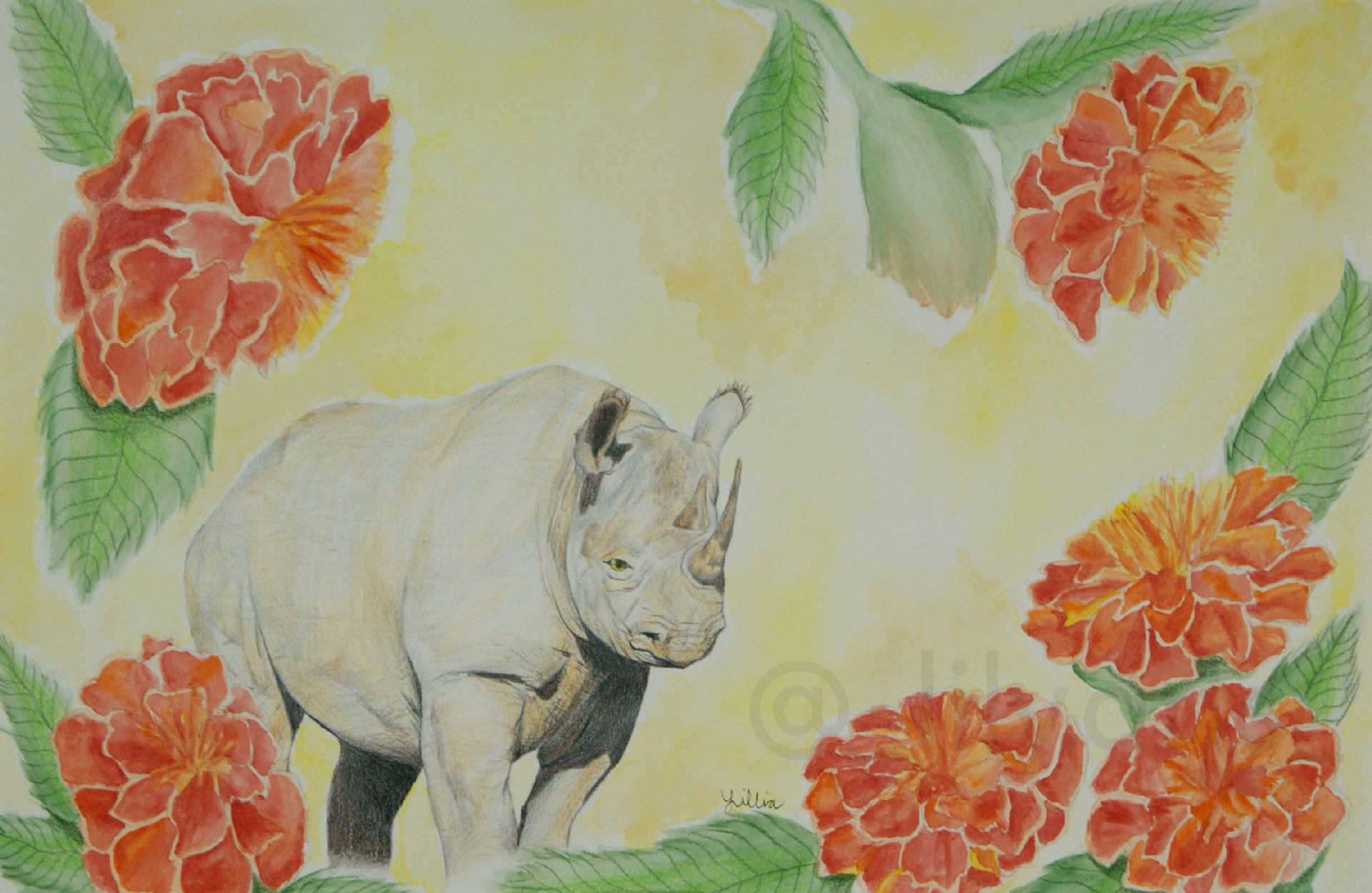 5th: javan rhino