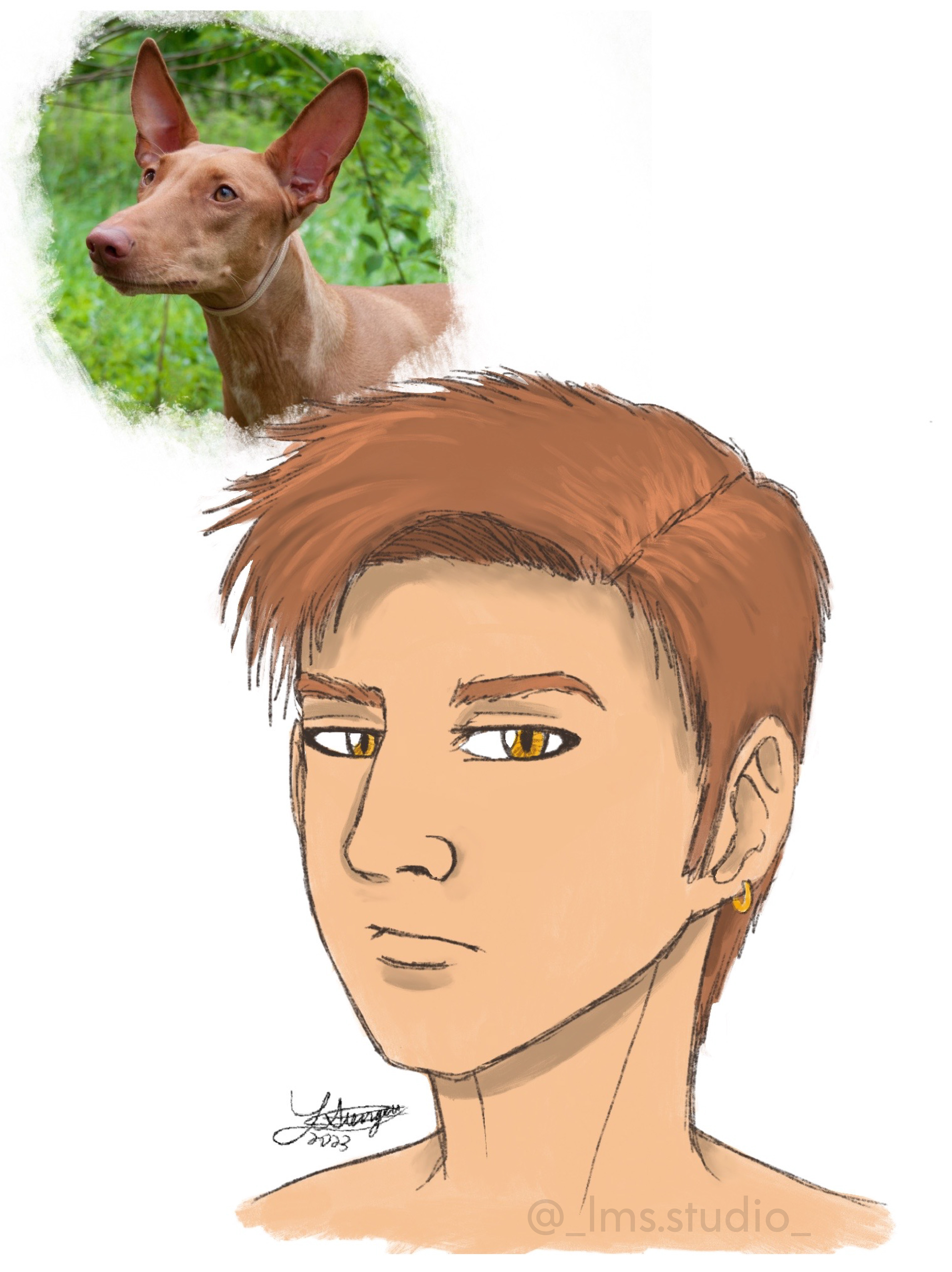 personifying animals series