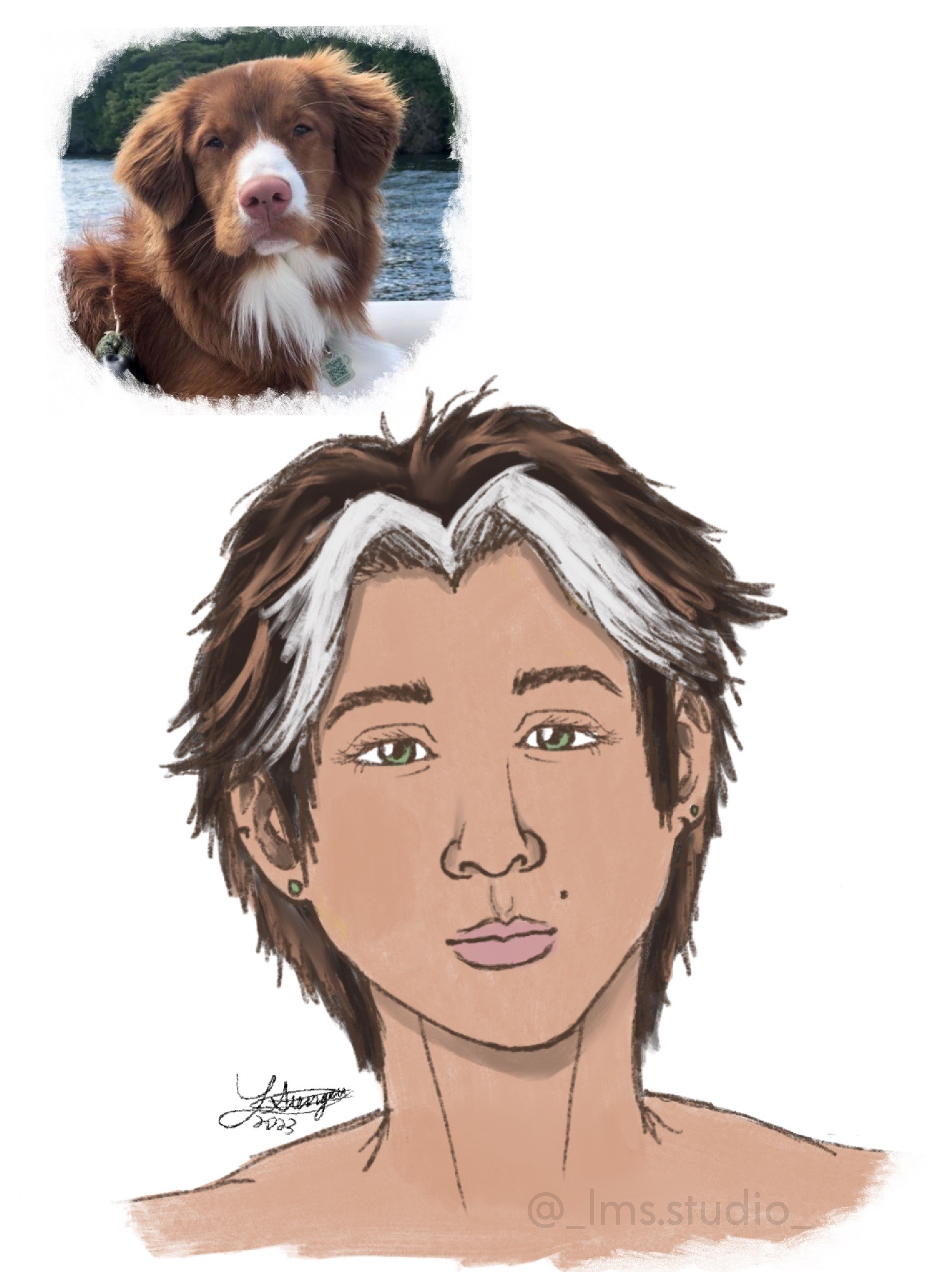 personifying animals series