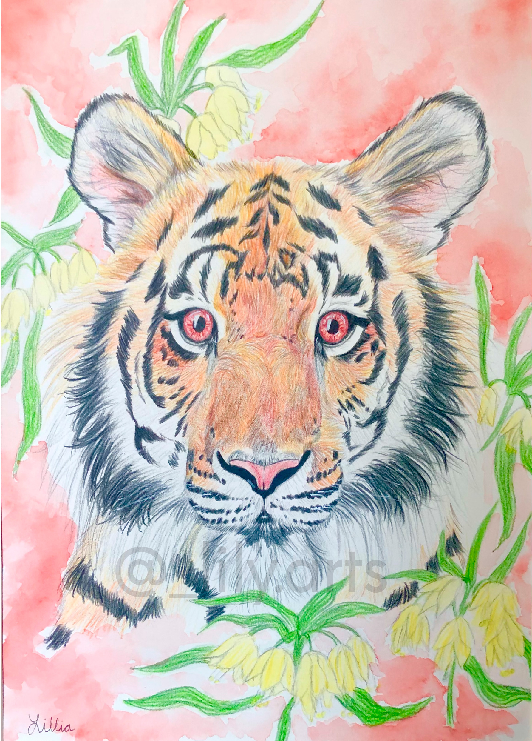 3rd: malayan tiger
