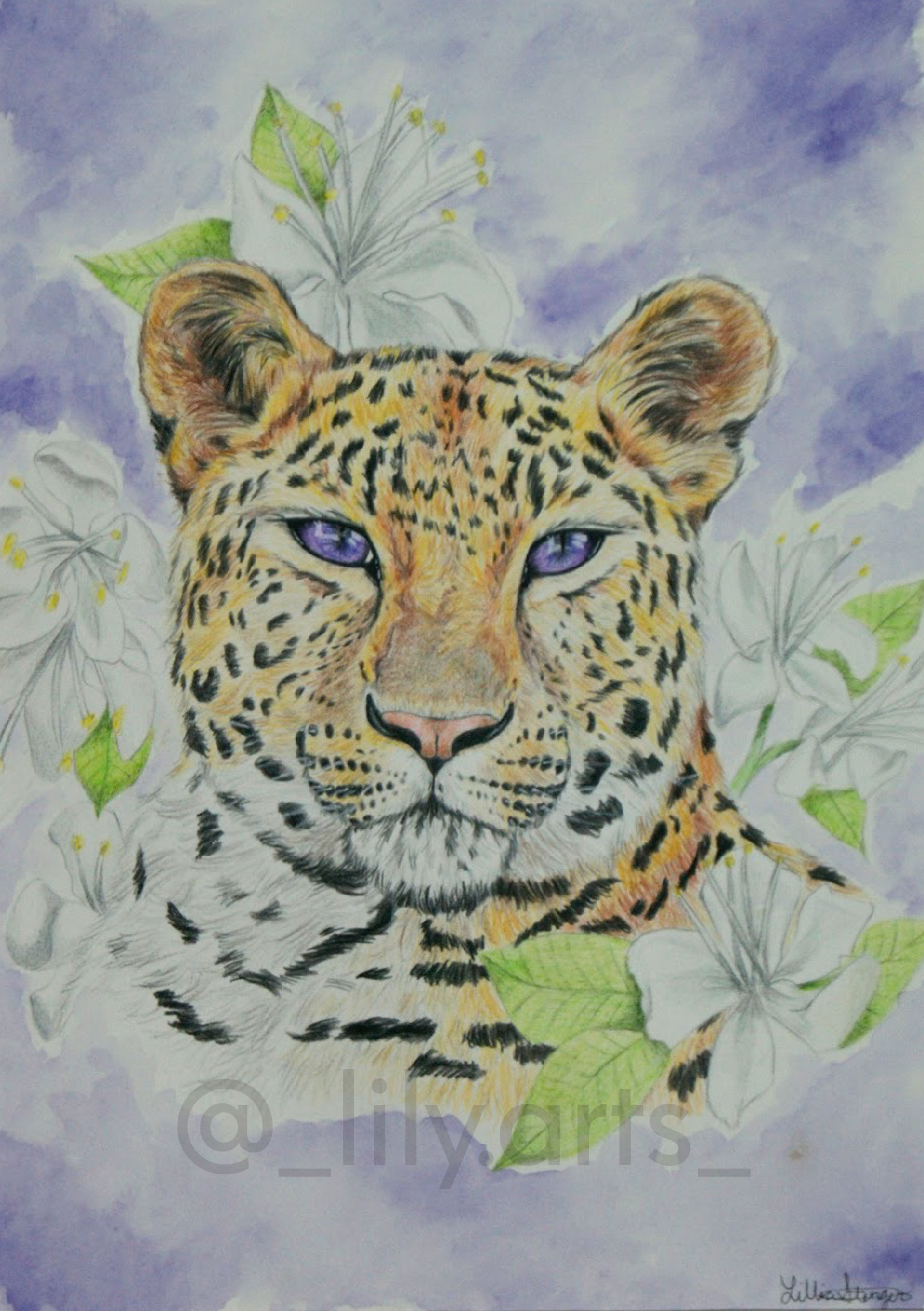 first in the series: the amur leopard