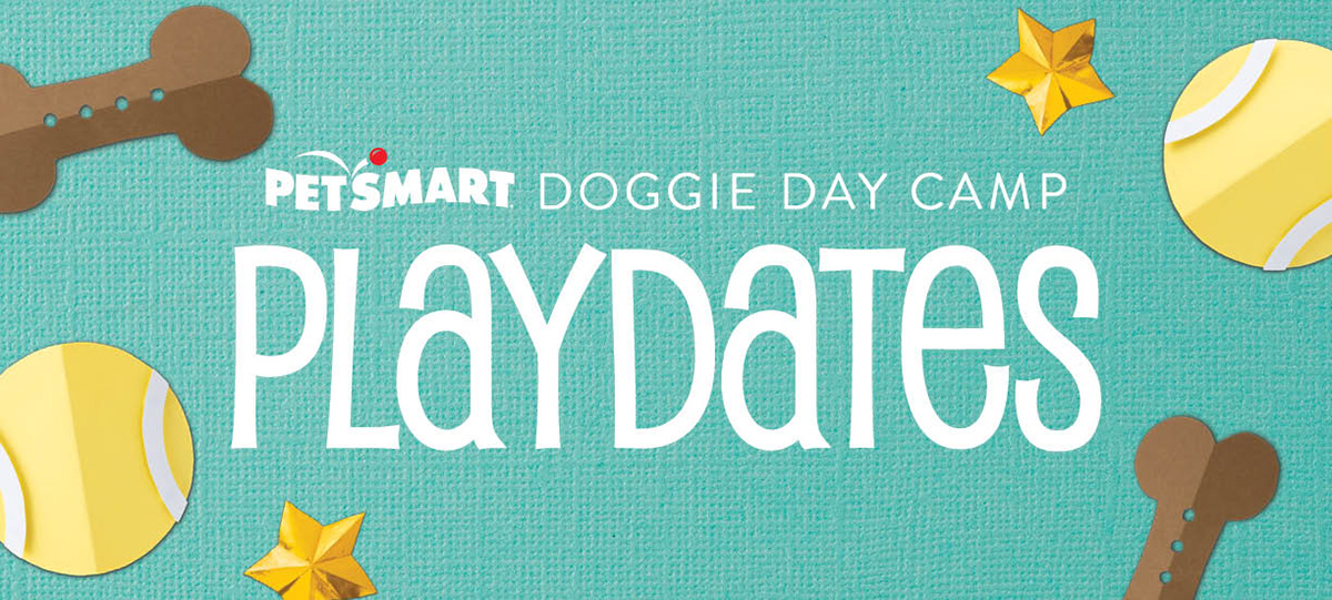 Doggie Day Camp Playdates – final work detail 1