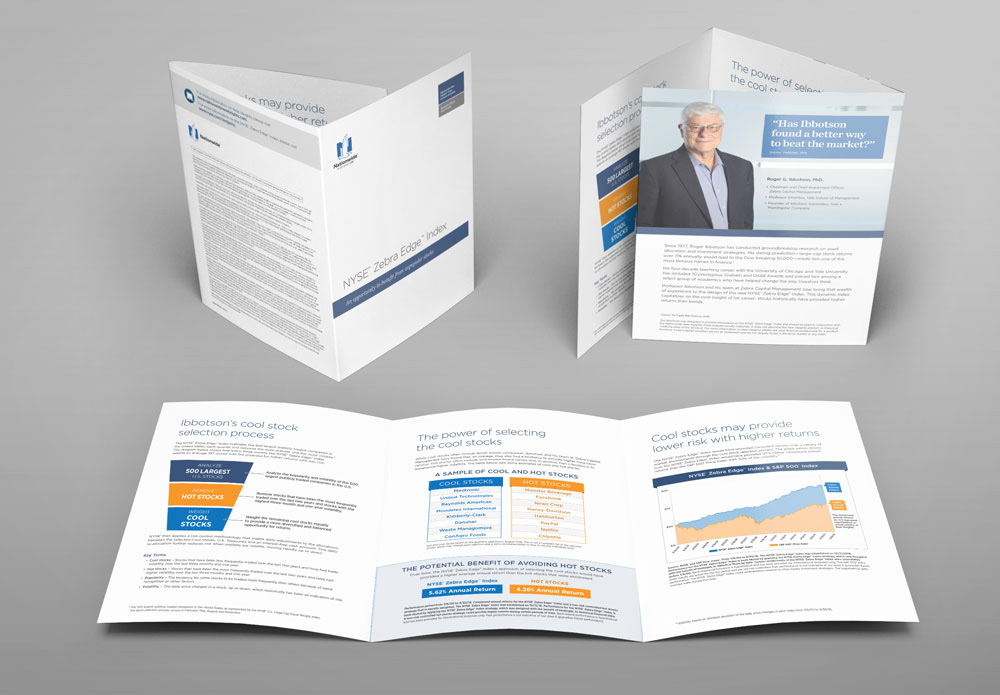 Zebra Index Brochure