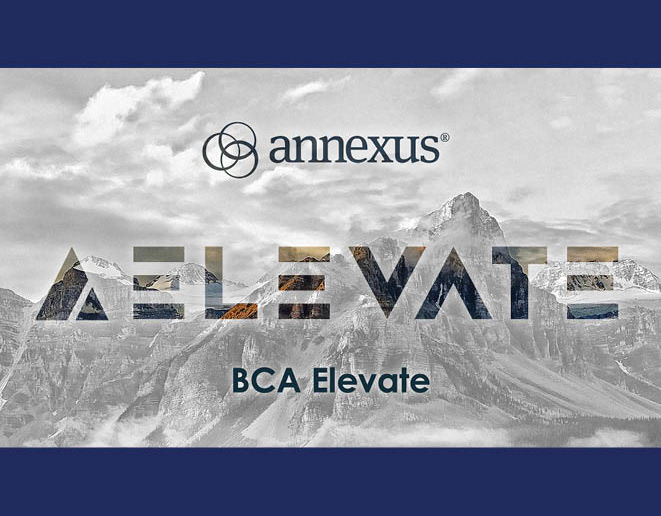 Athene "Elevate" Launch, Launch campaign work for Annexus