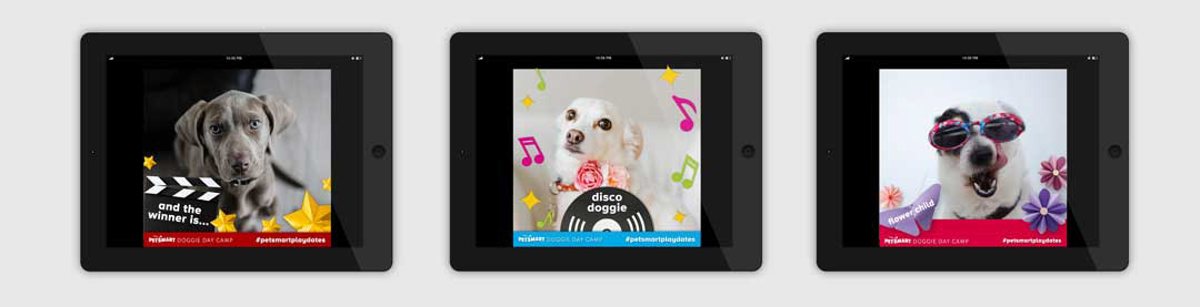 Digital Photo Overlays