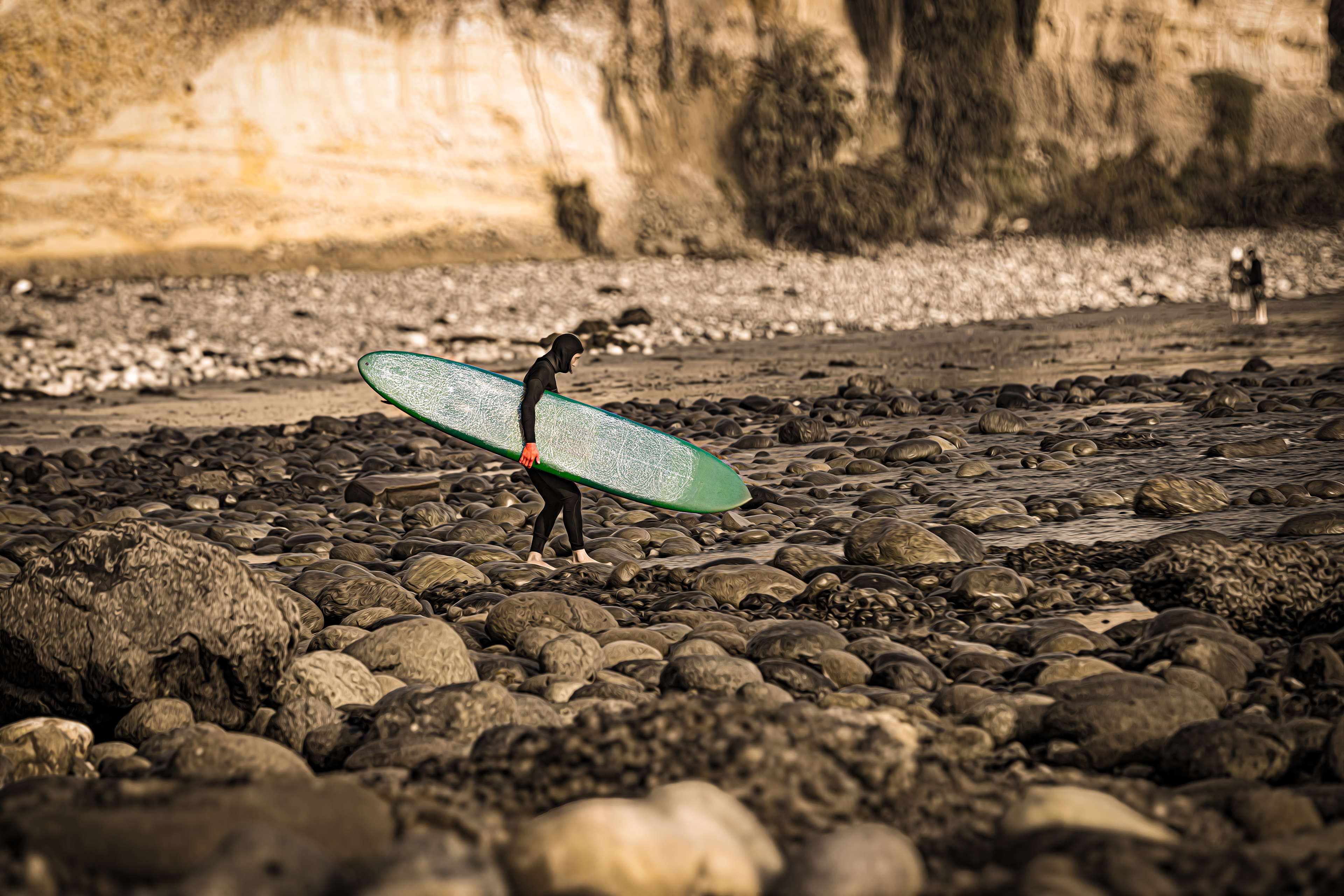 Surfing Bird rock