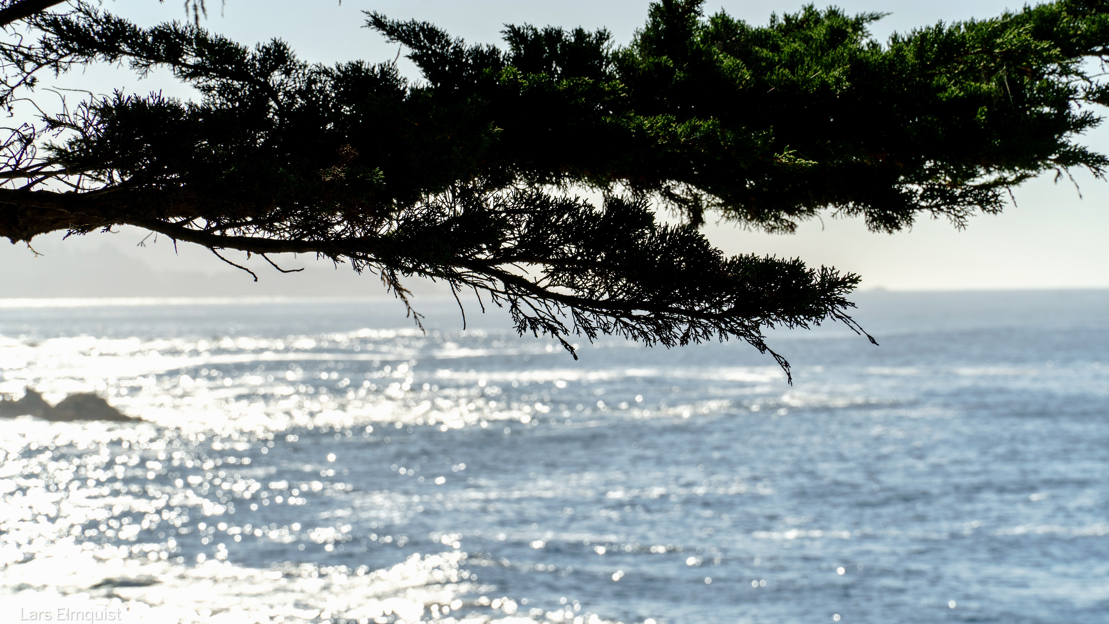 17-Mile Drive