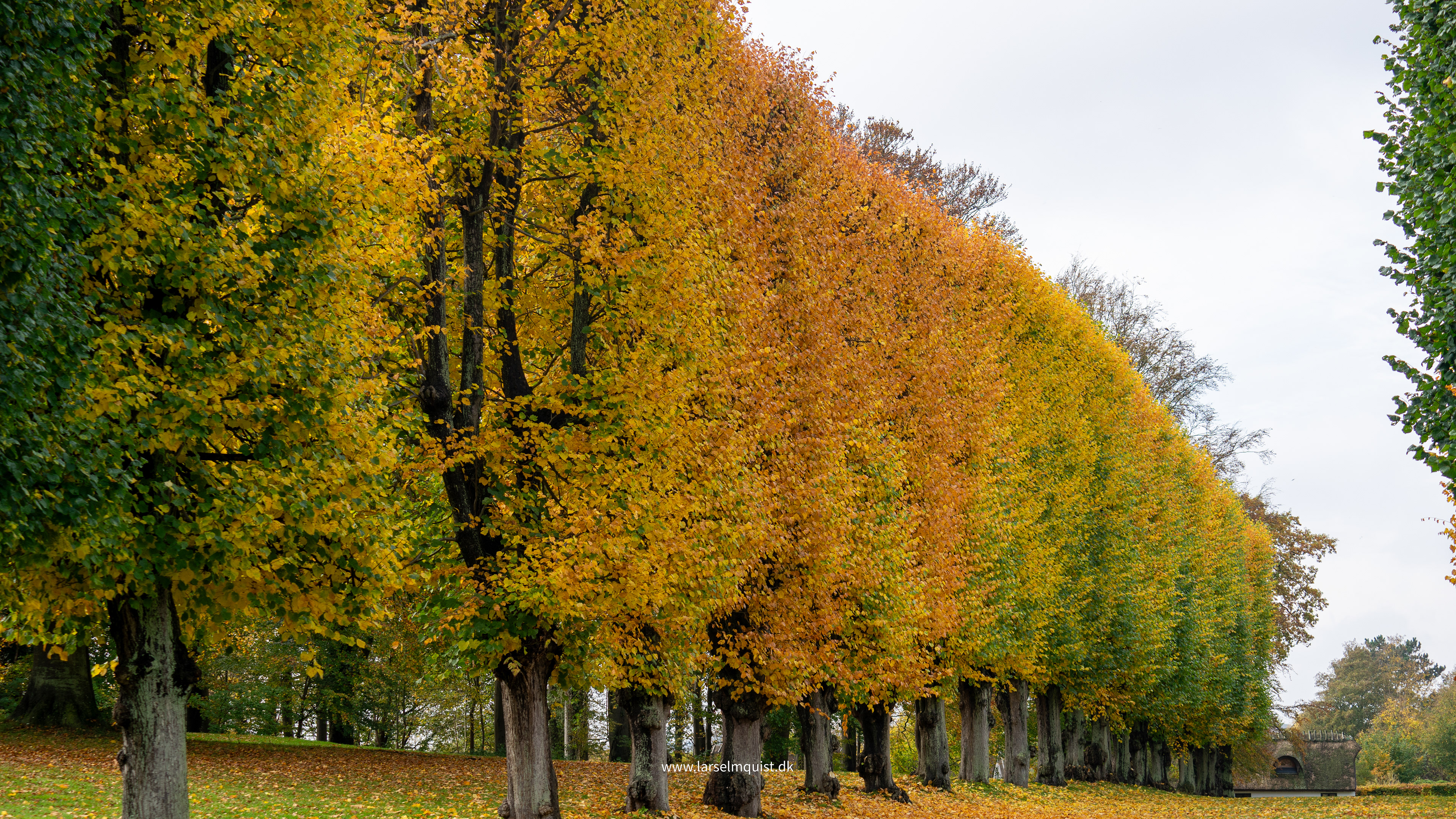 Lyngby