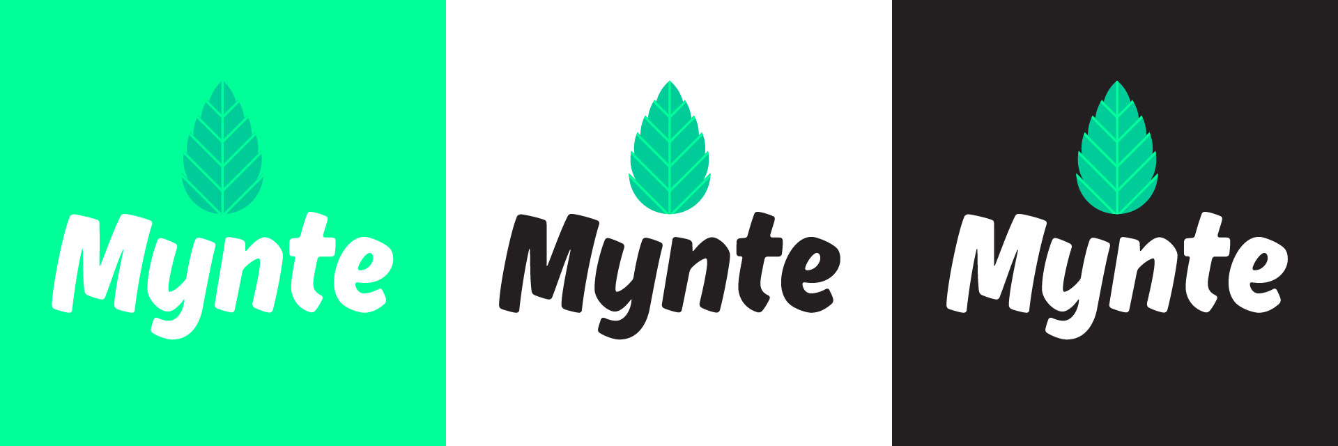 Mynte logo design