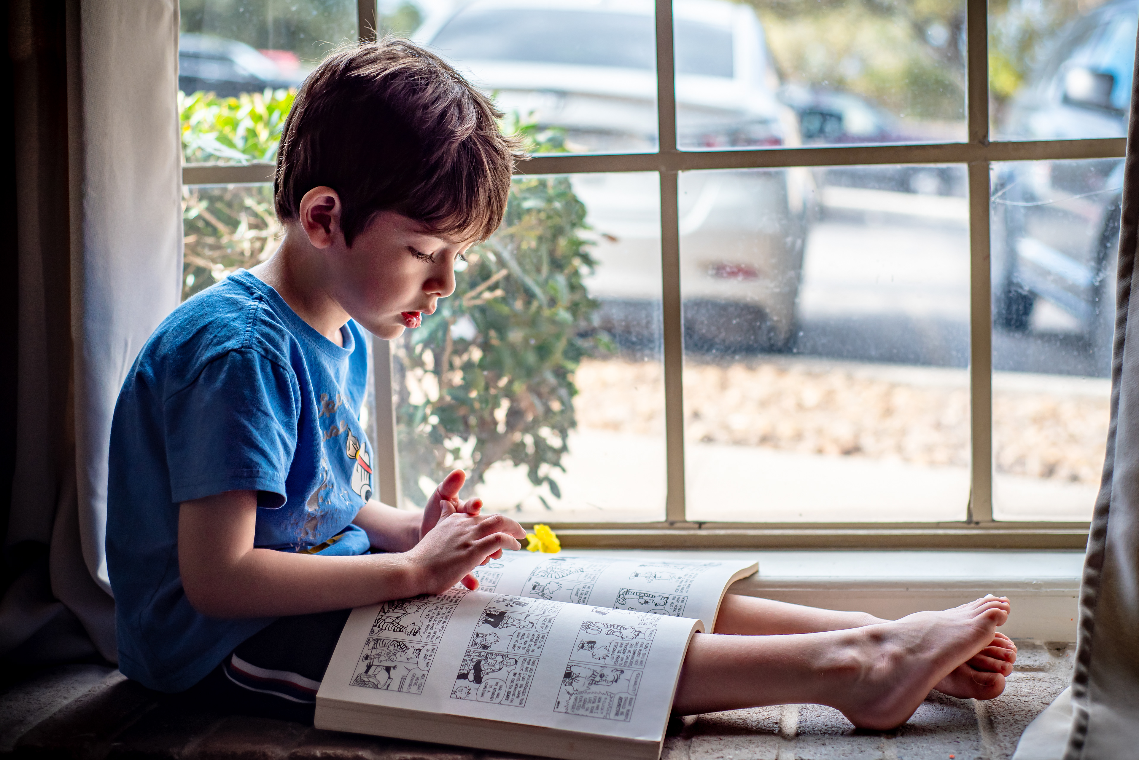 "Reading by window's light".  ‎December ‎13, ‎2020.  Digital photograph.